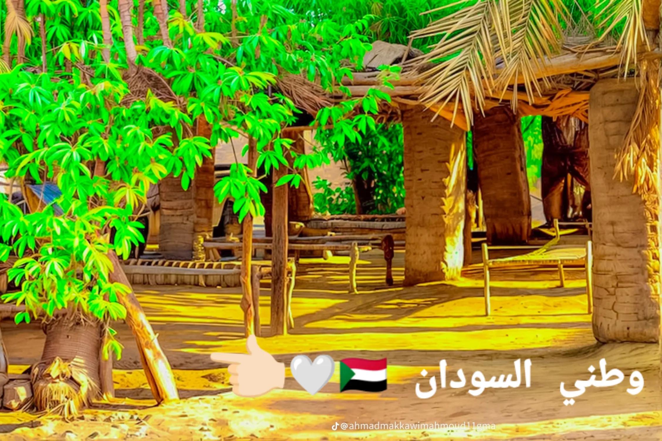 @💚🇸🇩Mustafa 🇸🇩💚