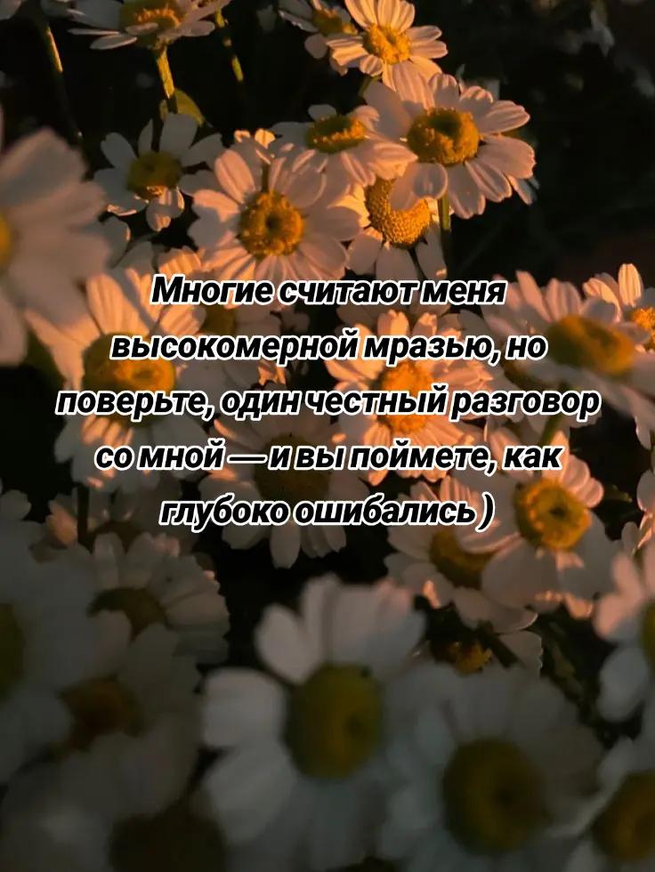 @💕Сестра Солдата🪖