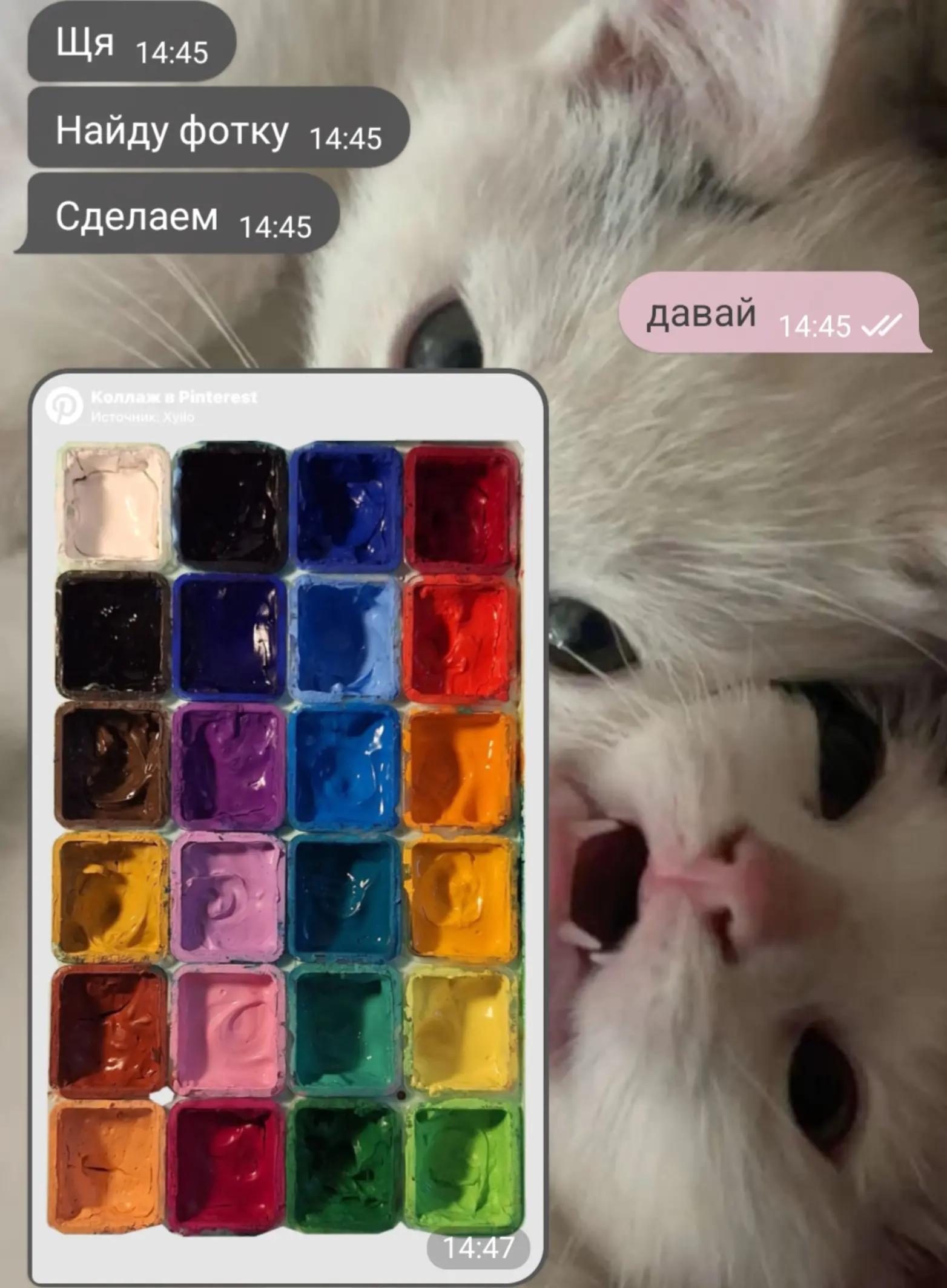 @Чашка