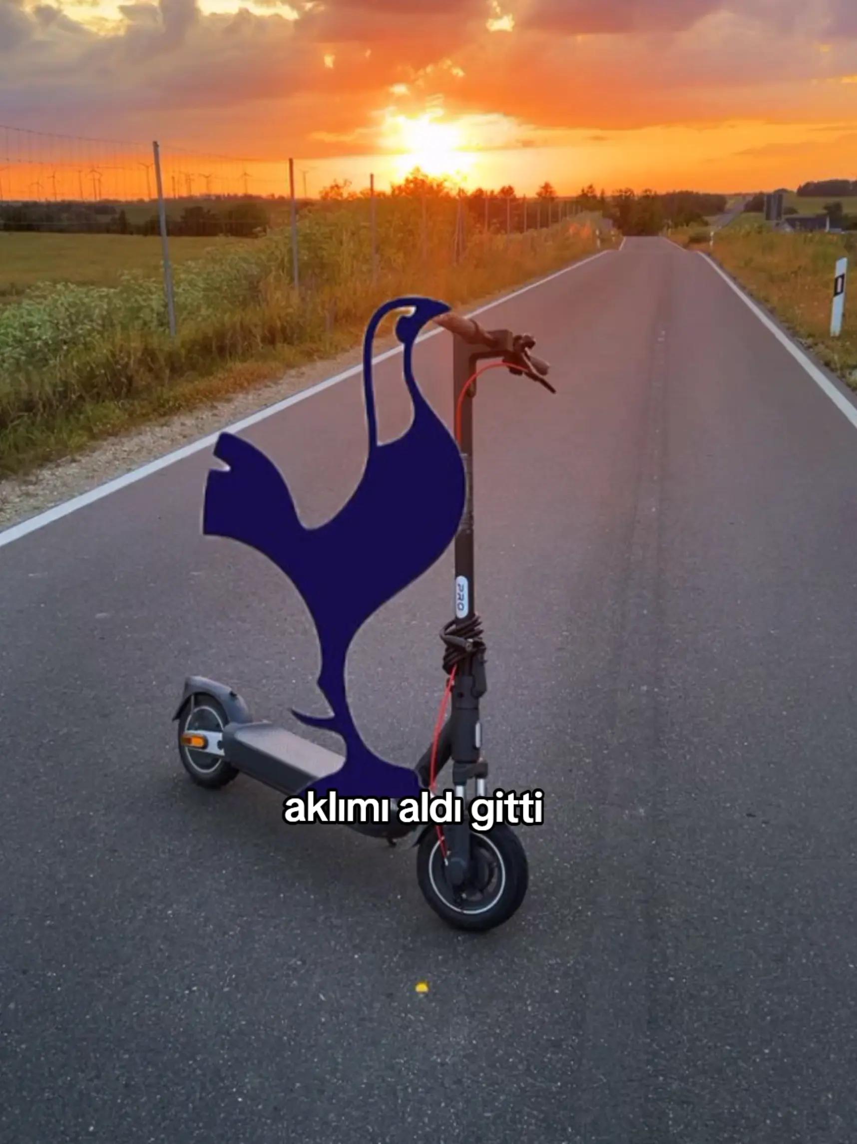 @𝓑𝓮𝓻𝓴𝓪𝔂 🃏