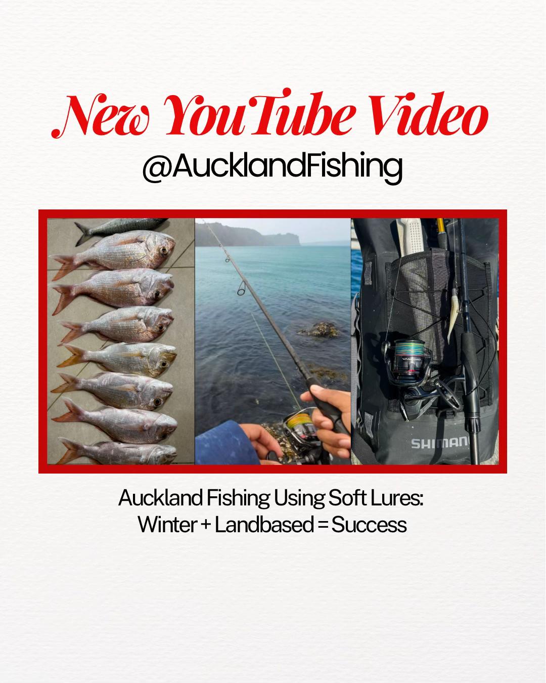 @Taqi Fishing