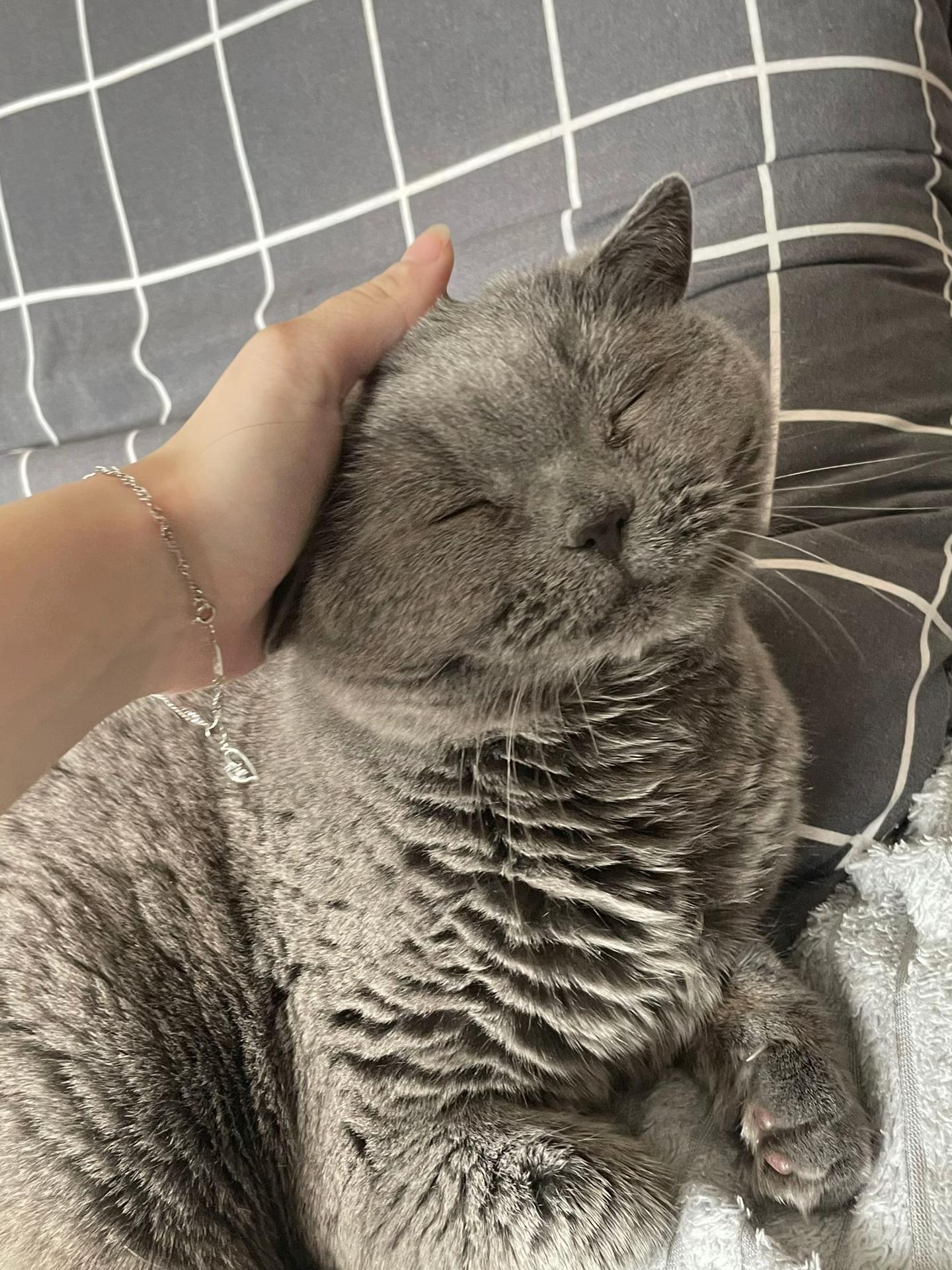 @олька