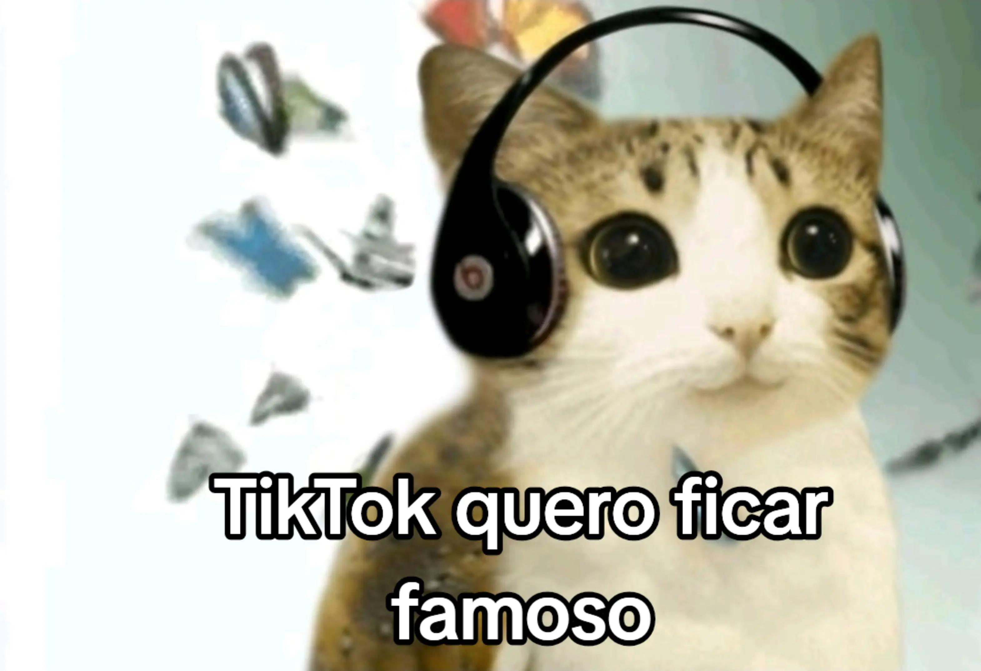 @joevim do Brasil
