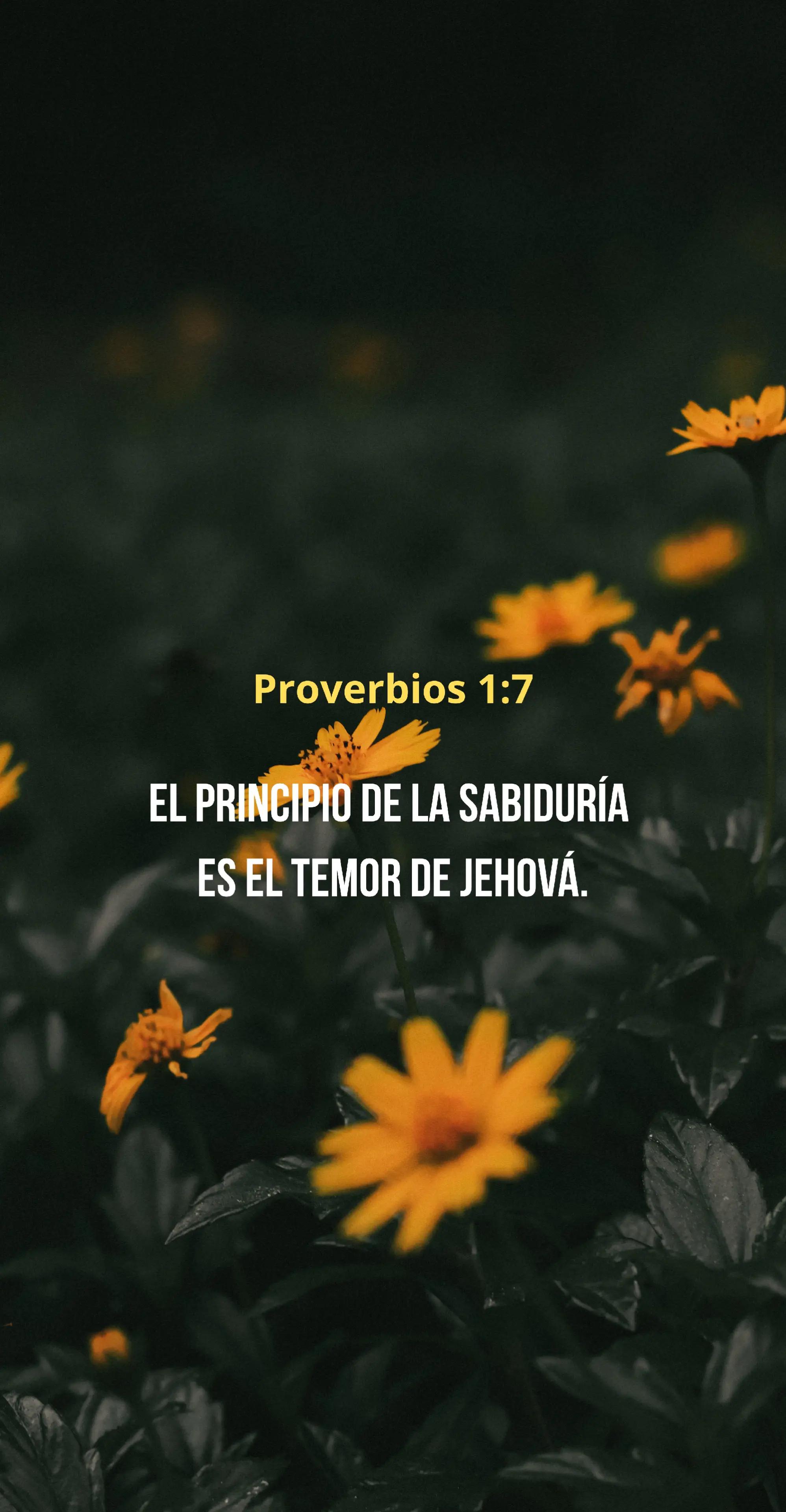 @Palabra de Dios