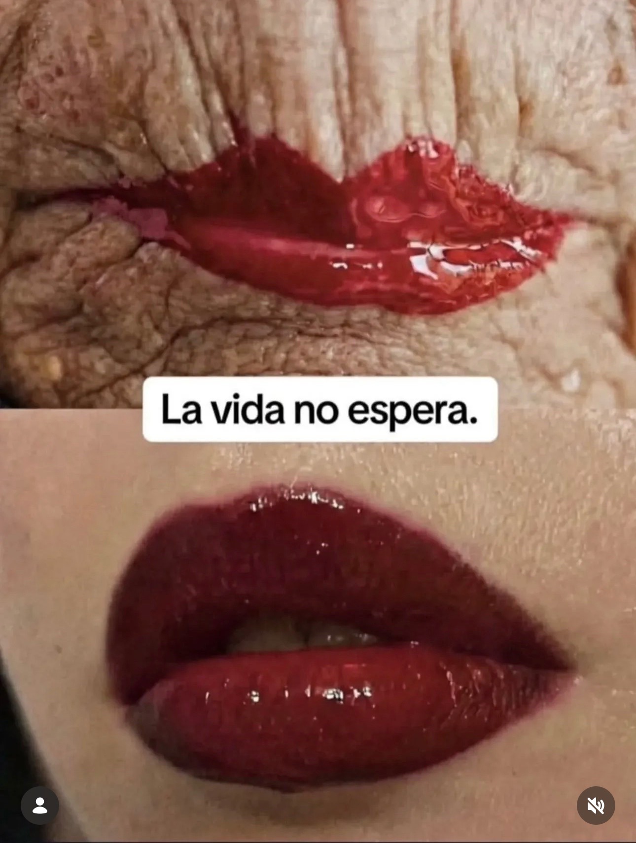 @✨🌸💐rumba76