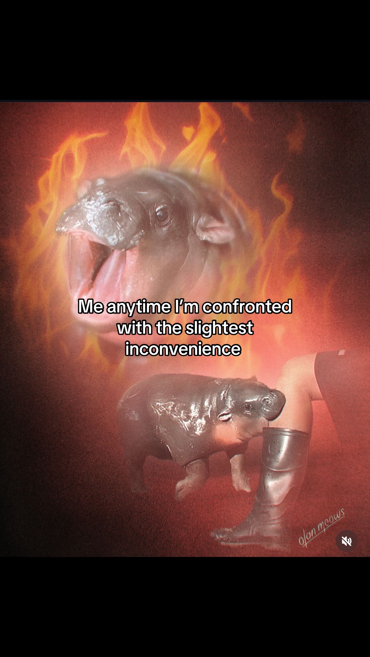 @š¤š¤BlackcatBrujaš¤š¤