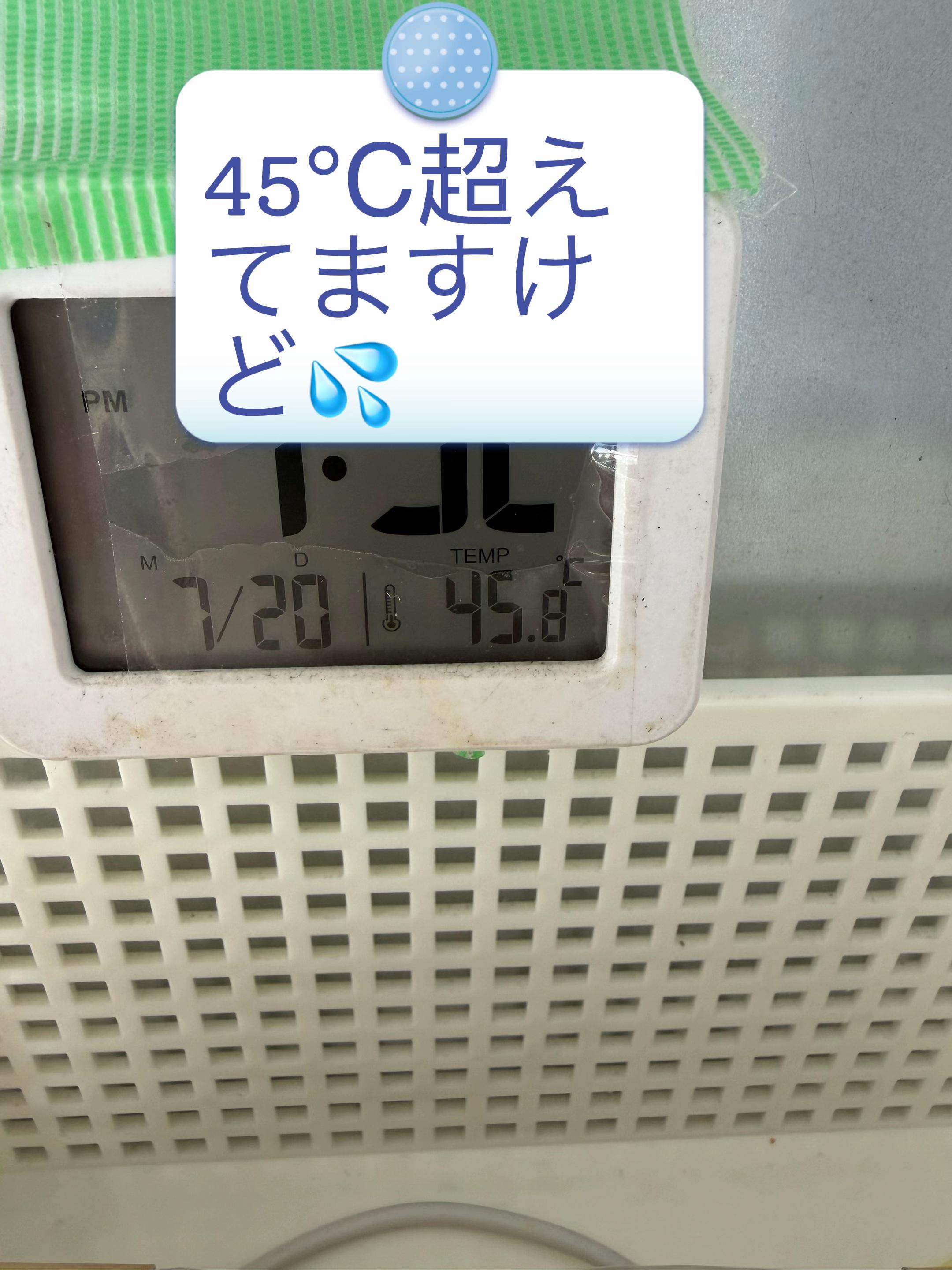 @タニ2828Dog
