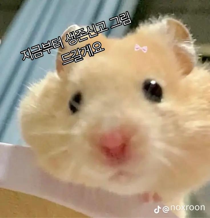 @스틱판