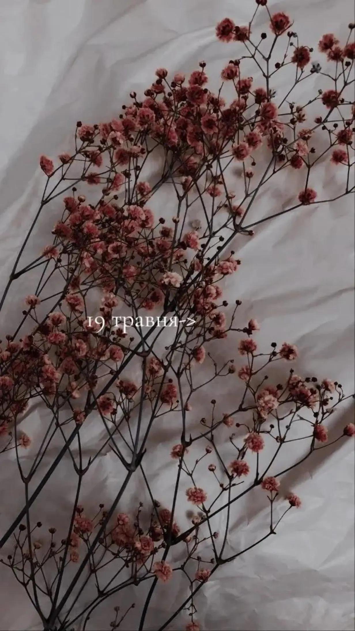 @♡𝕡𝕣𝕚𝕟𝕔𝕖𝕤𝕤♡