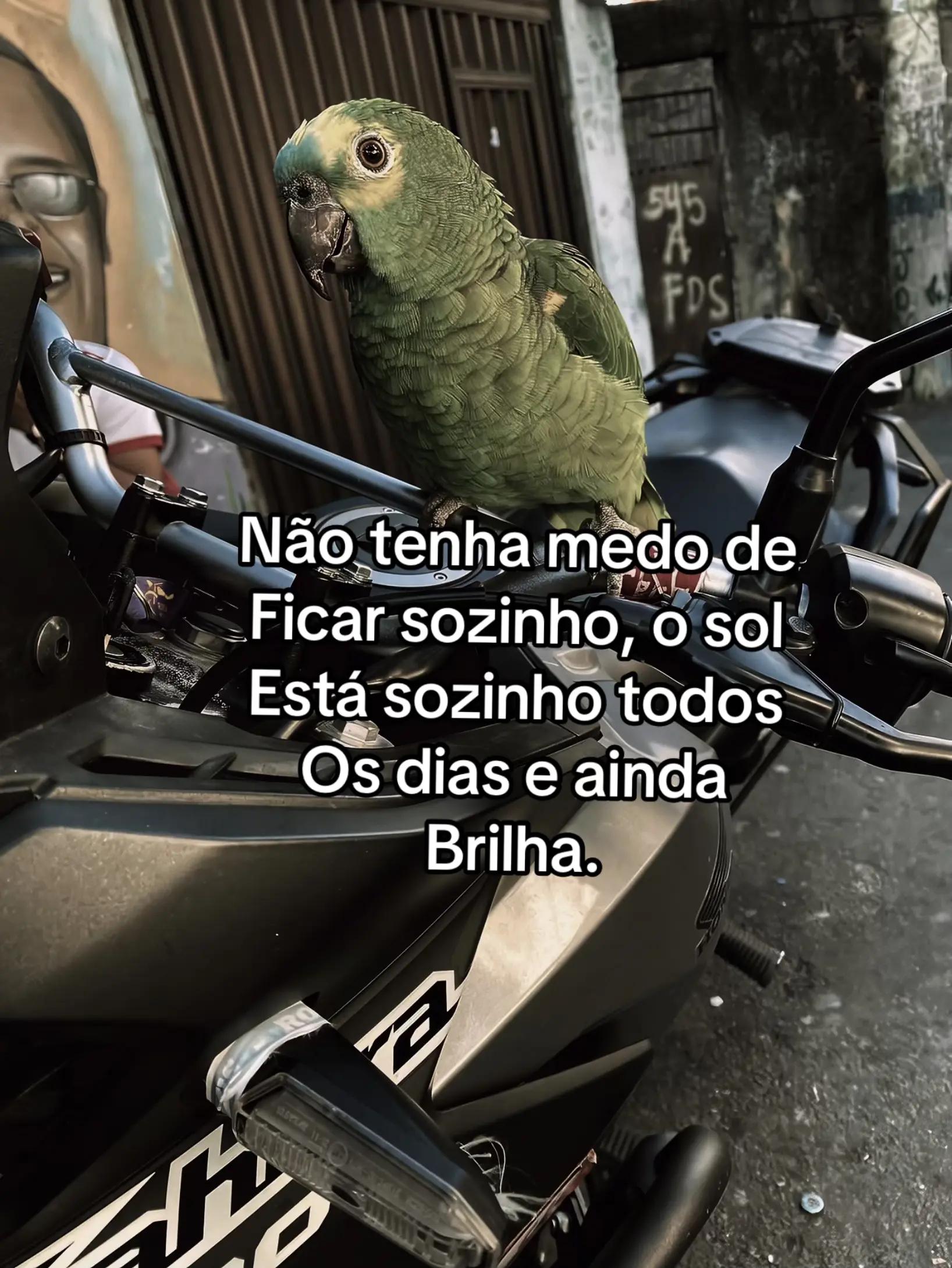 @____carreirasoloo❤️&zwj;🔥