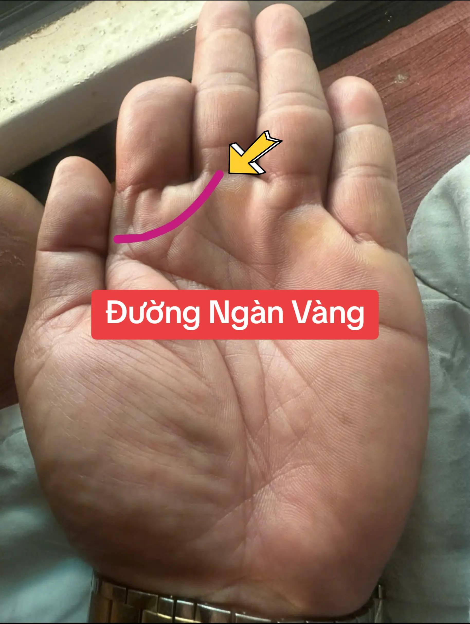 @Nh&acirc;n Tướng Sửa M&igrave;nh (Đỗ L&acirc;m)