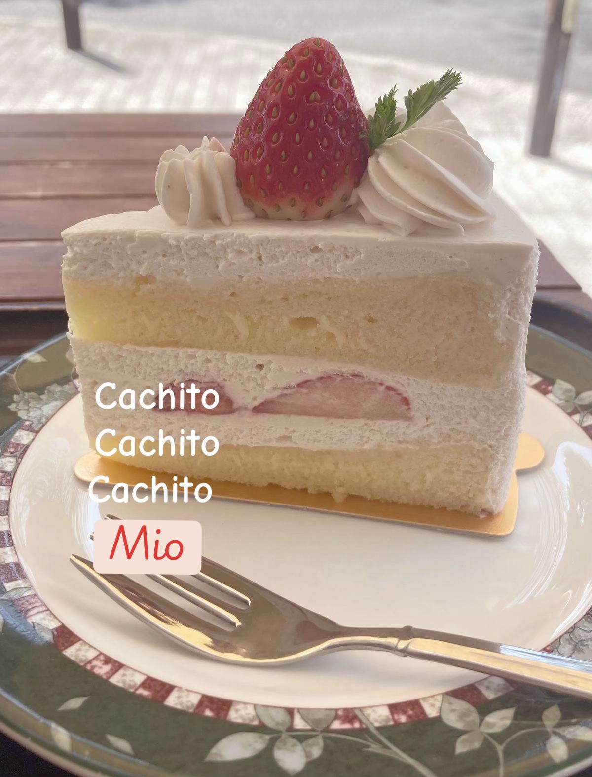 @୨୧ ┆ 𝒜ᑲᑲᥡ ♥︎ ( 𝓢ᥲᥒᥲ ) ɞ