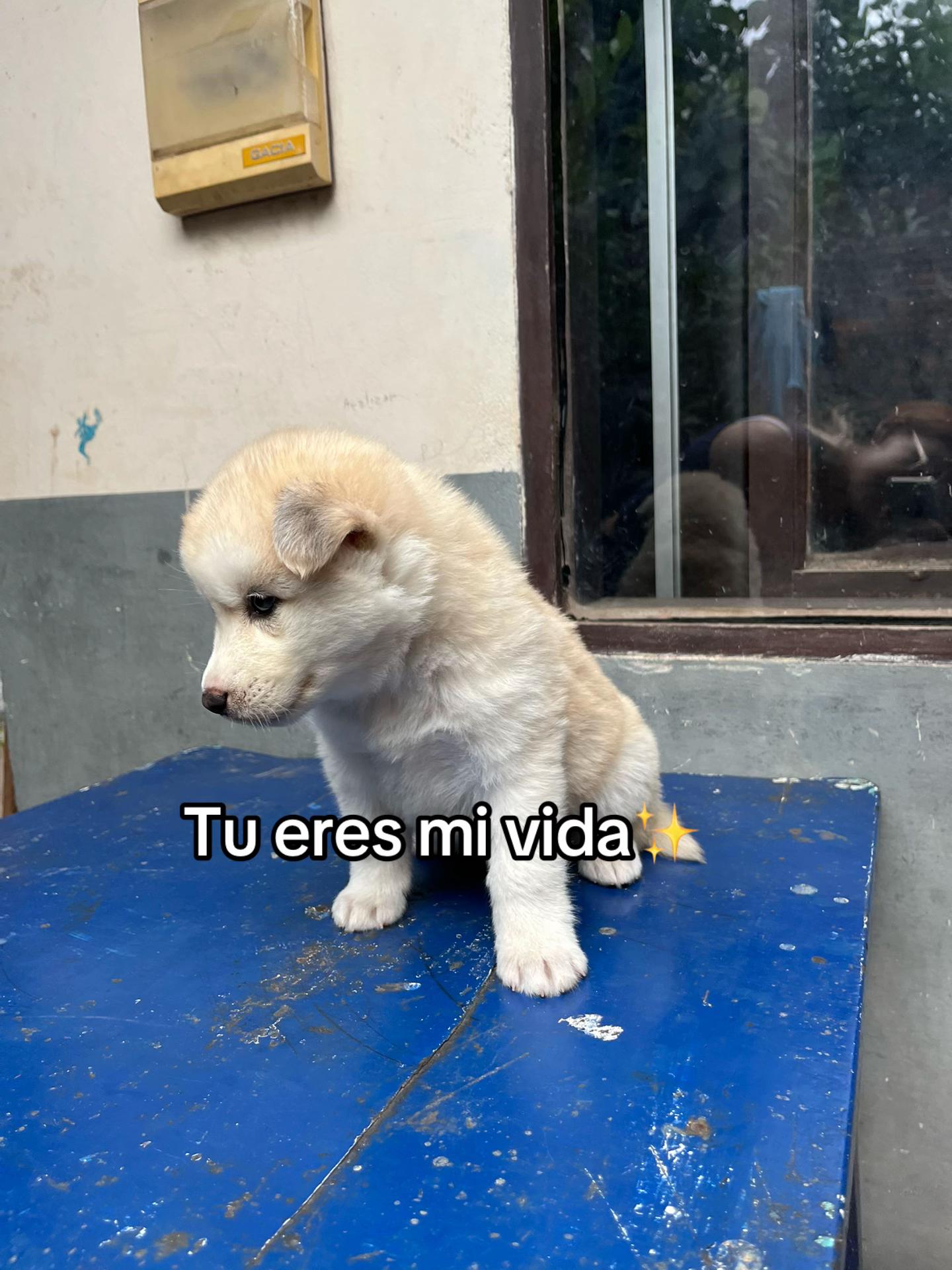 @J
