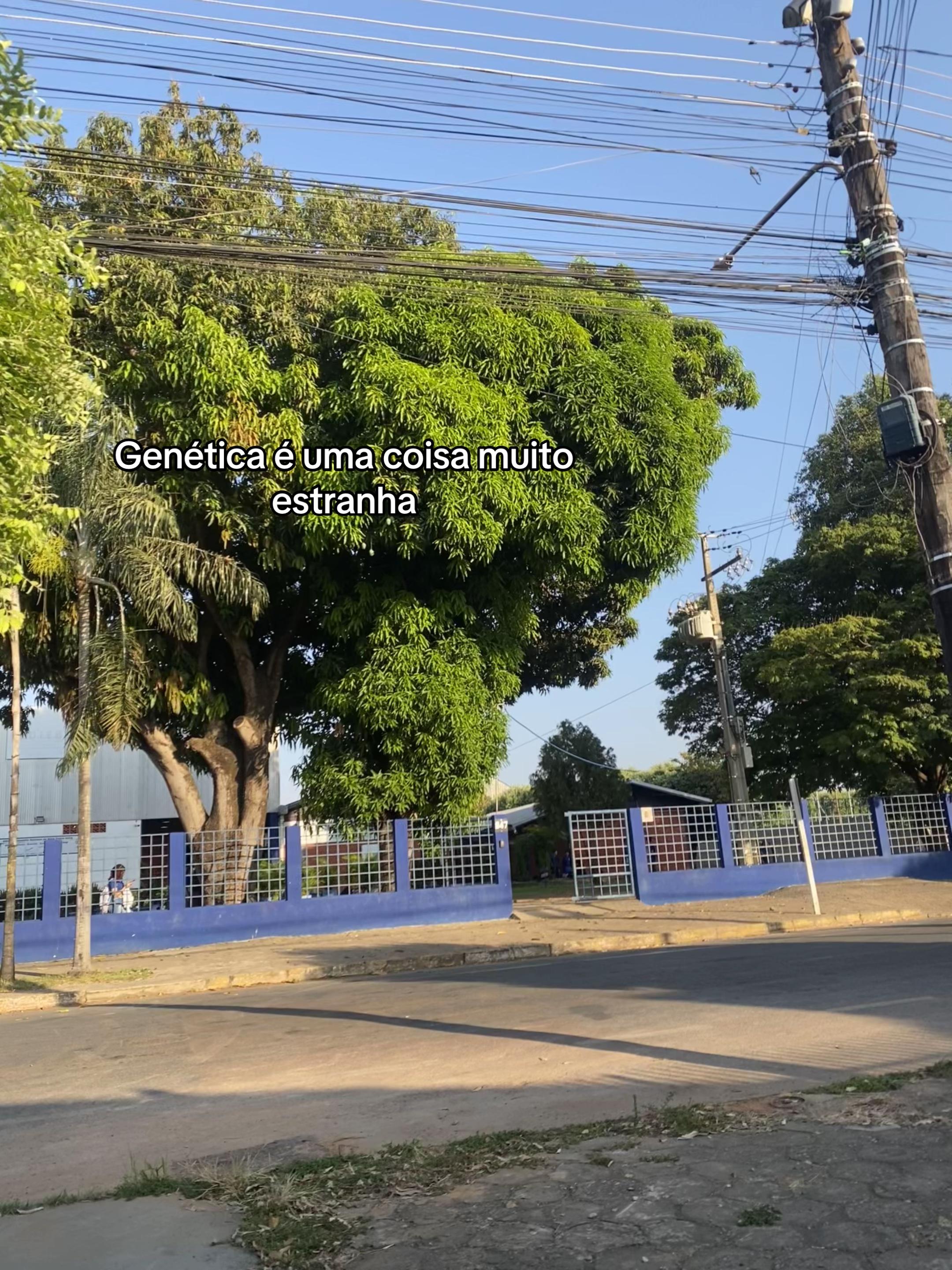 @𝙂𝙪𝙞 ⁱ⁹⁵ʲᵐⁱⁿ 𐙚