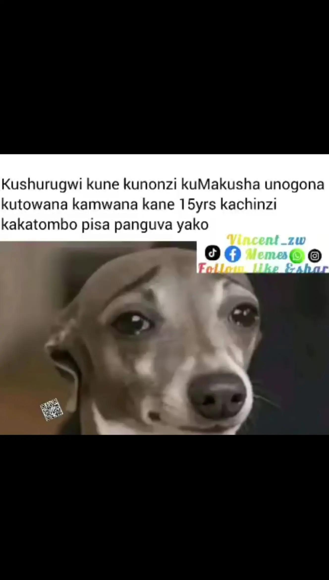 @AmbAssAdor Msaladhi