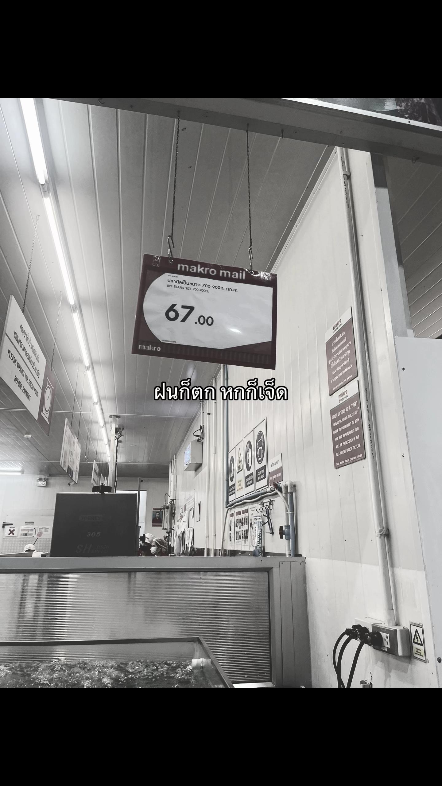 @เธรดของไอขิง 