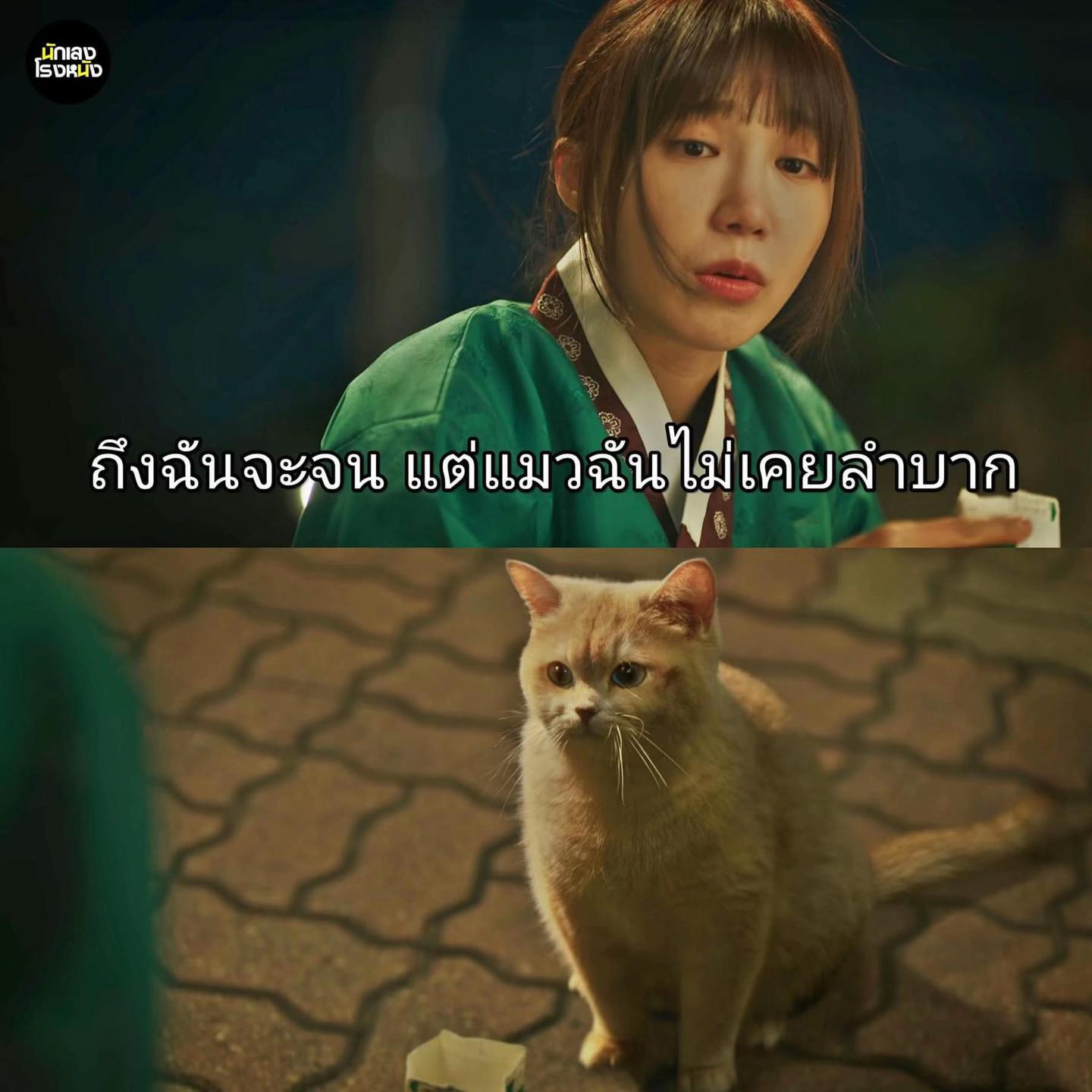 @luxsiriwan21