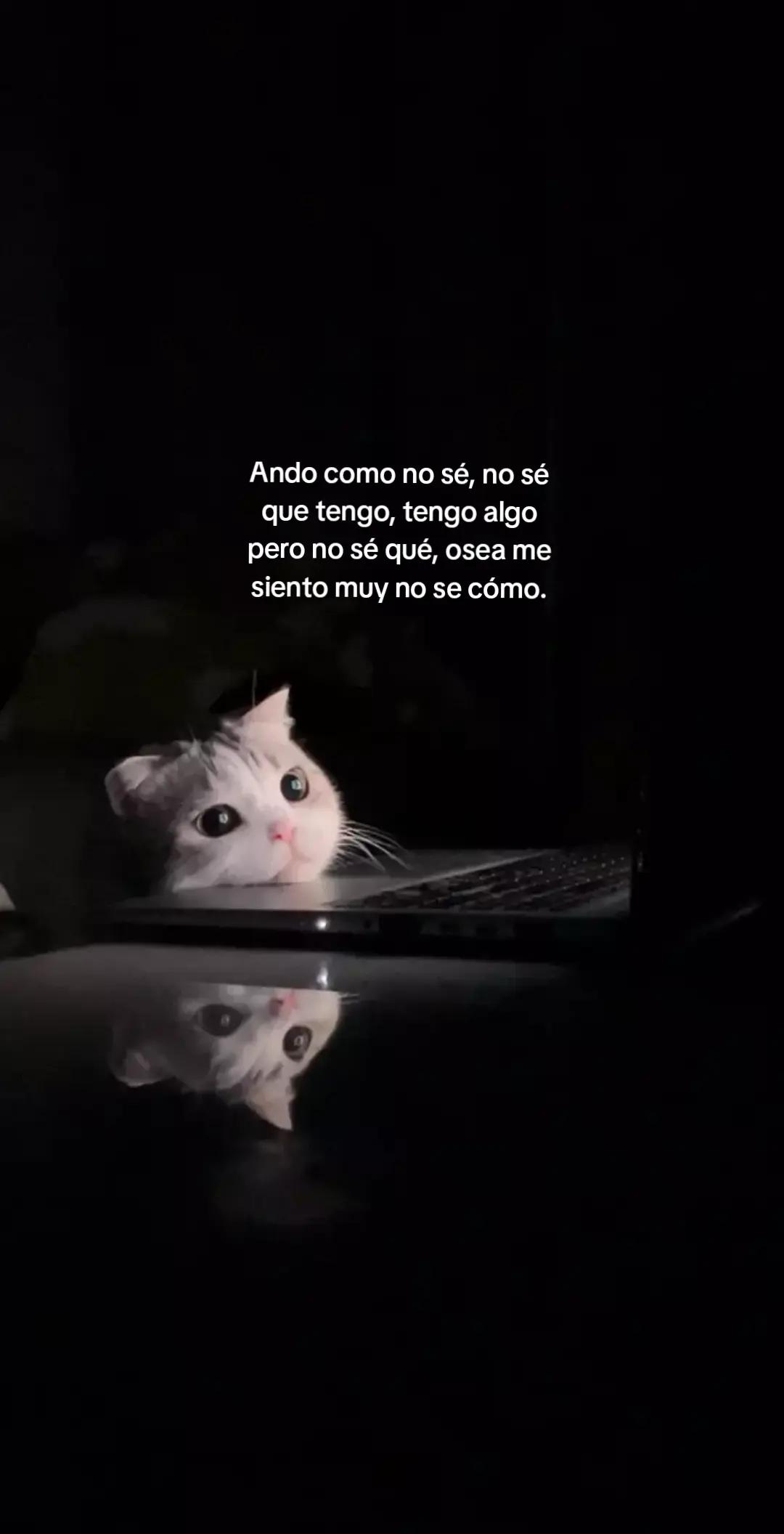 @ɪᴍᴘᴇʀꜰᴇᴄᴛᴏᴳᵀ࣪