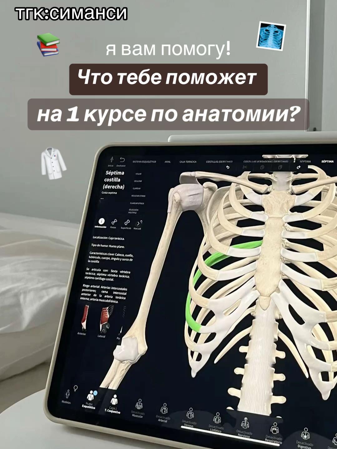 @тгк:симанси