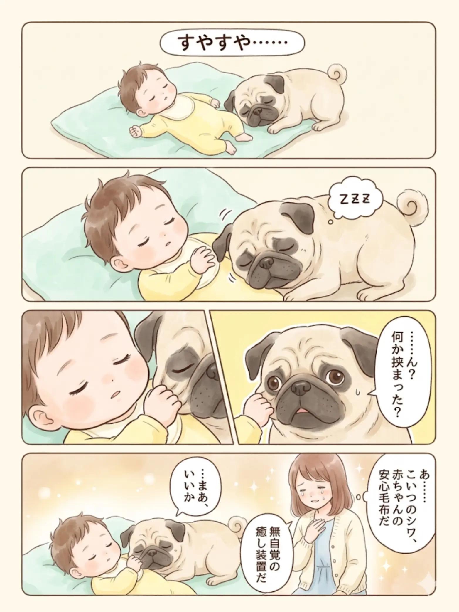 @都内のチワワ
