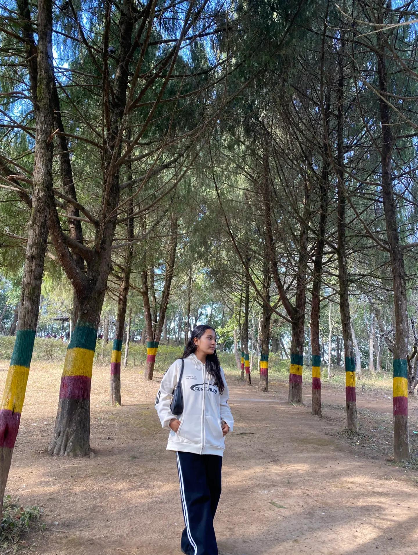 @수하나🌷✨