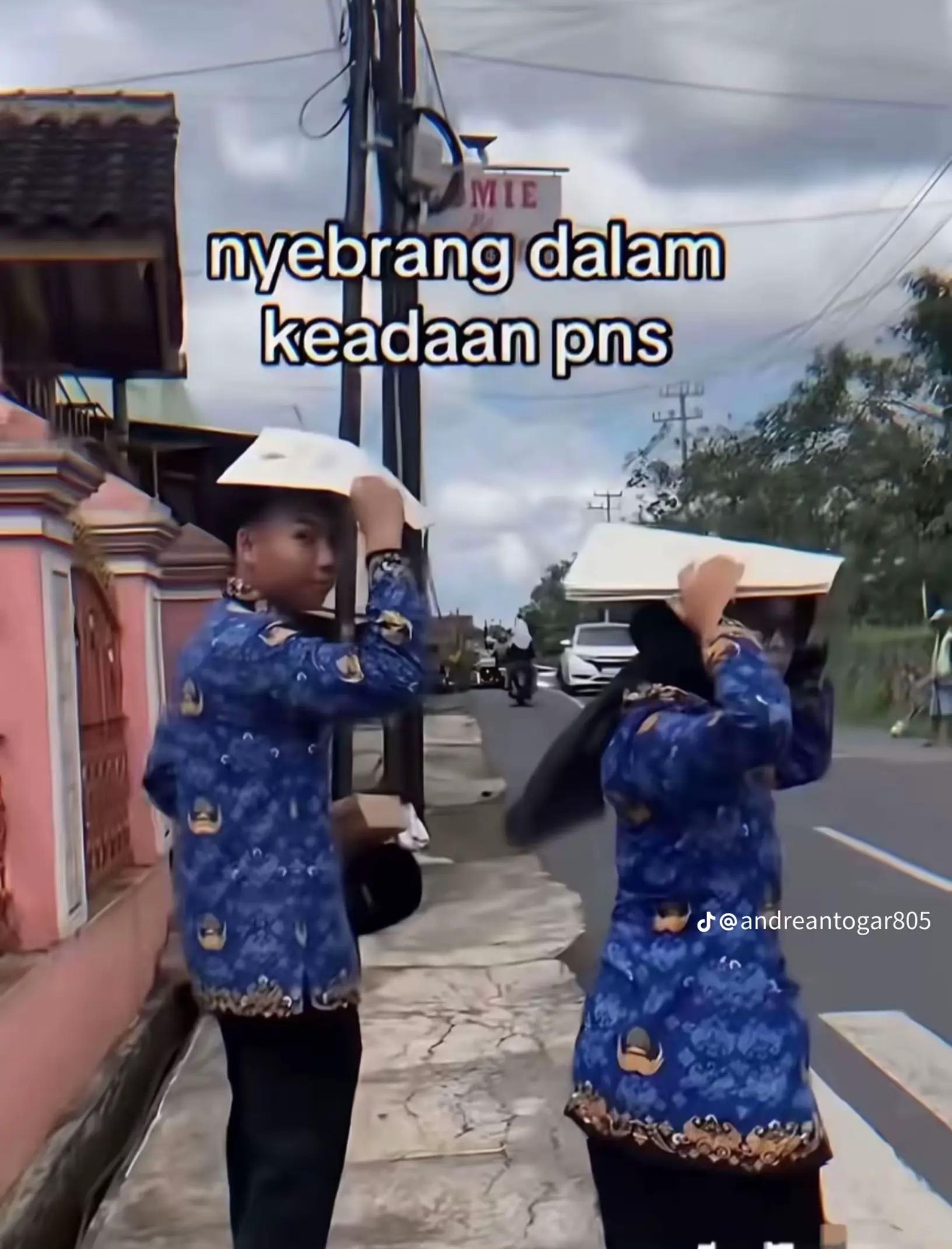 @wisnu sayur🥬🌶️🧅