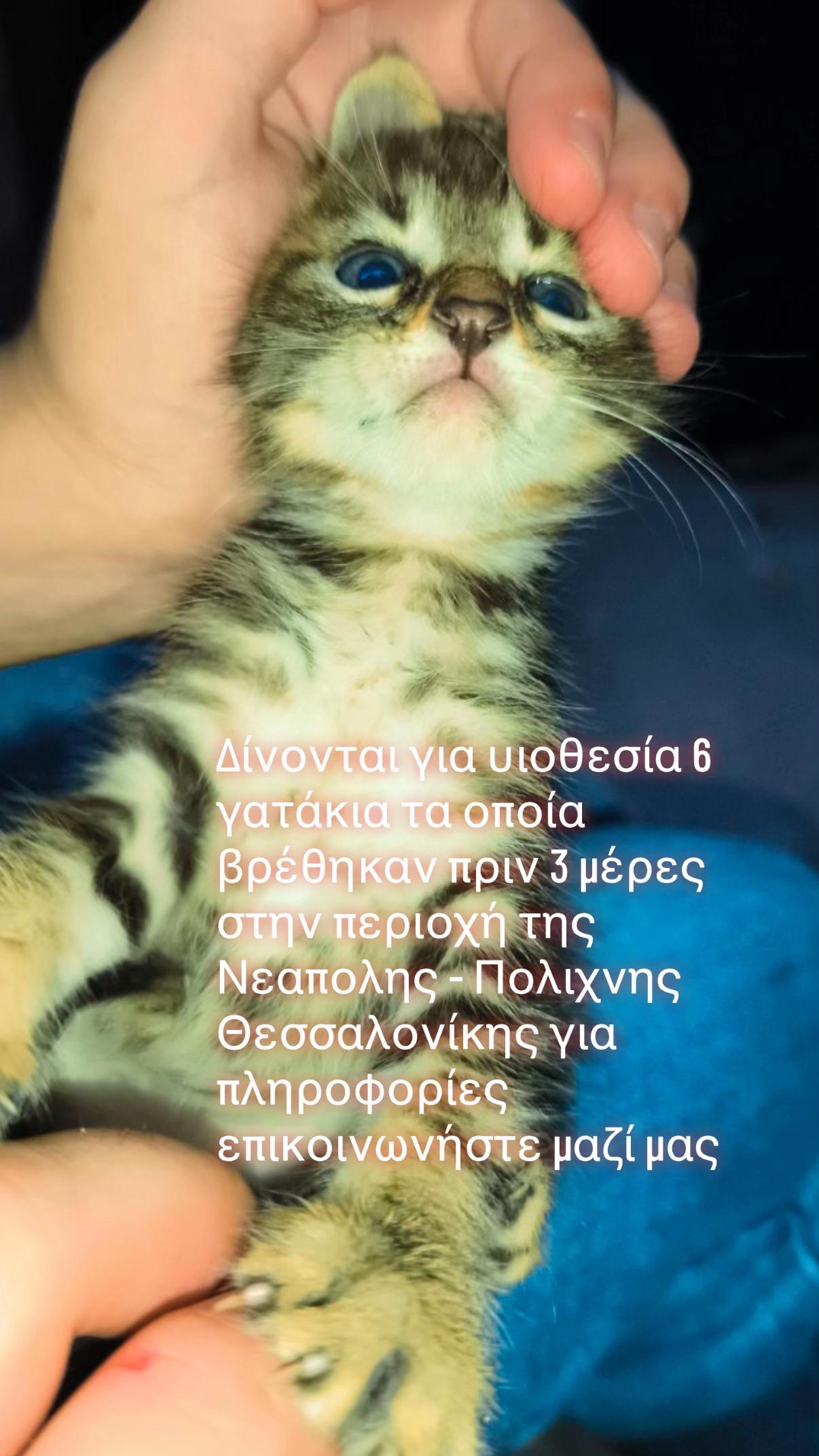 @𝓣𝓼𝓲𝓰𝓪𝓻𝓪.𝓜