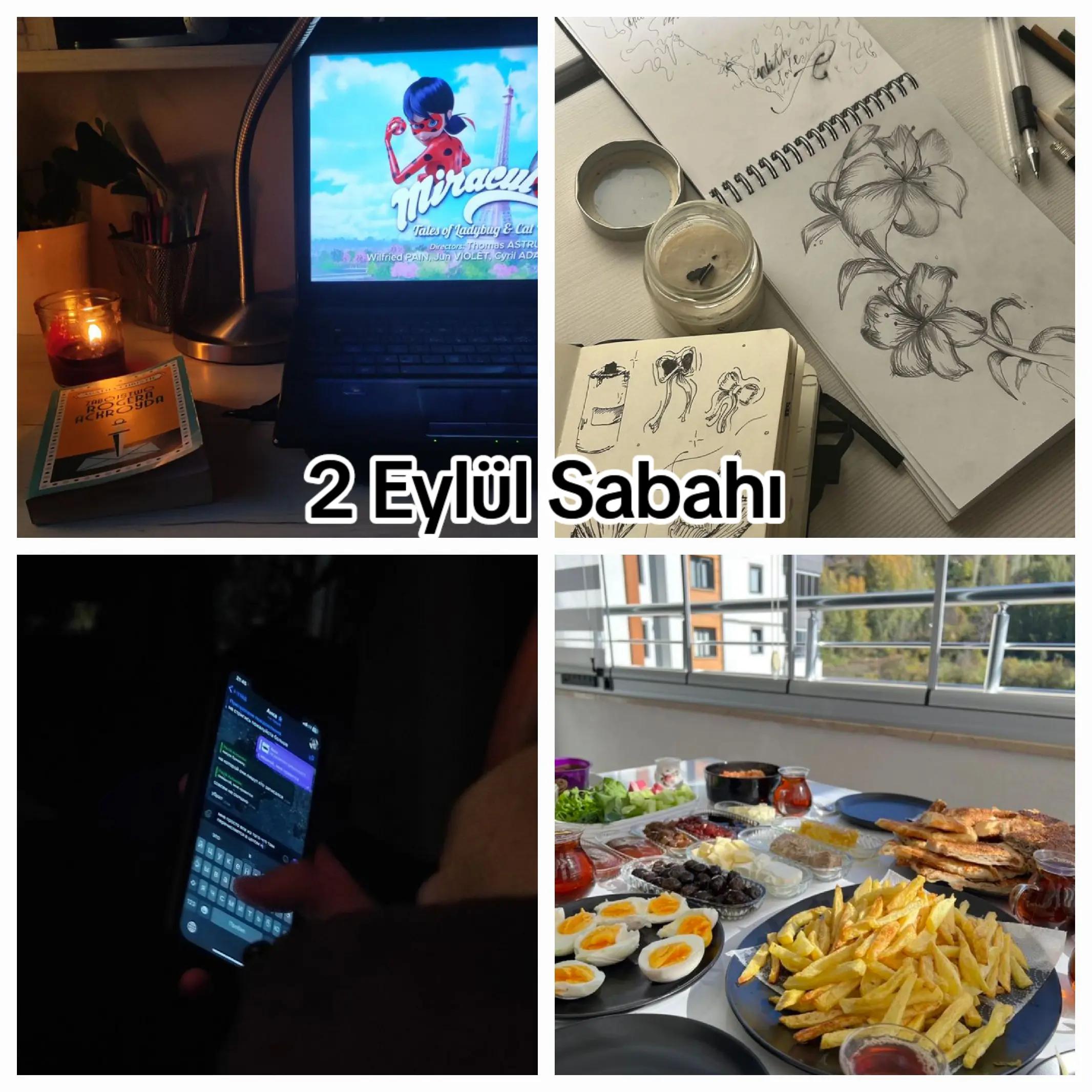 @★Cat_noir_404★