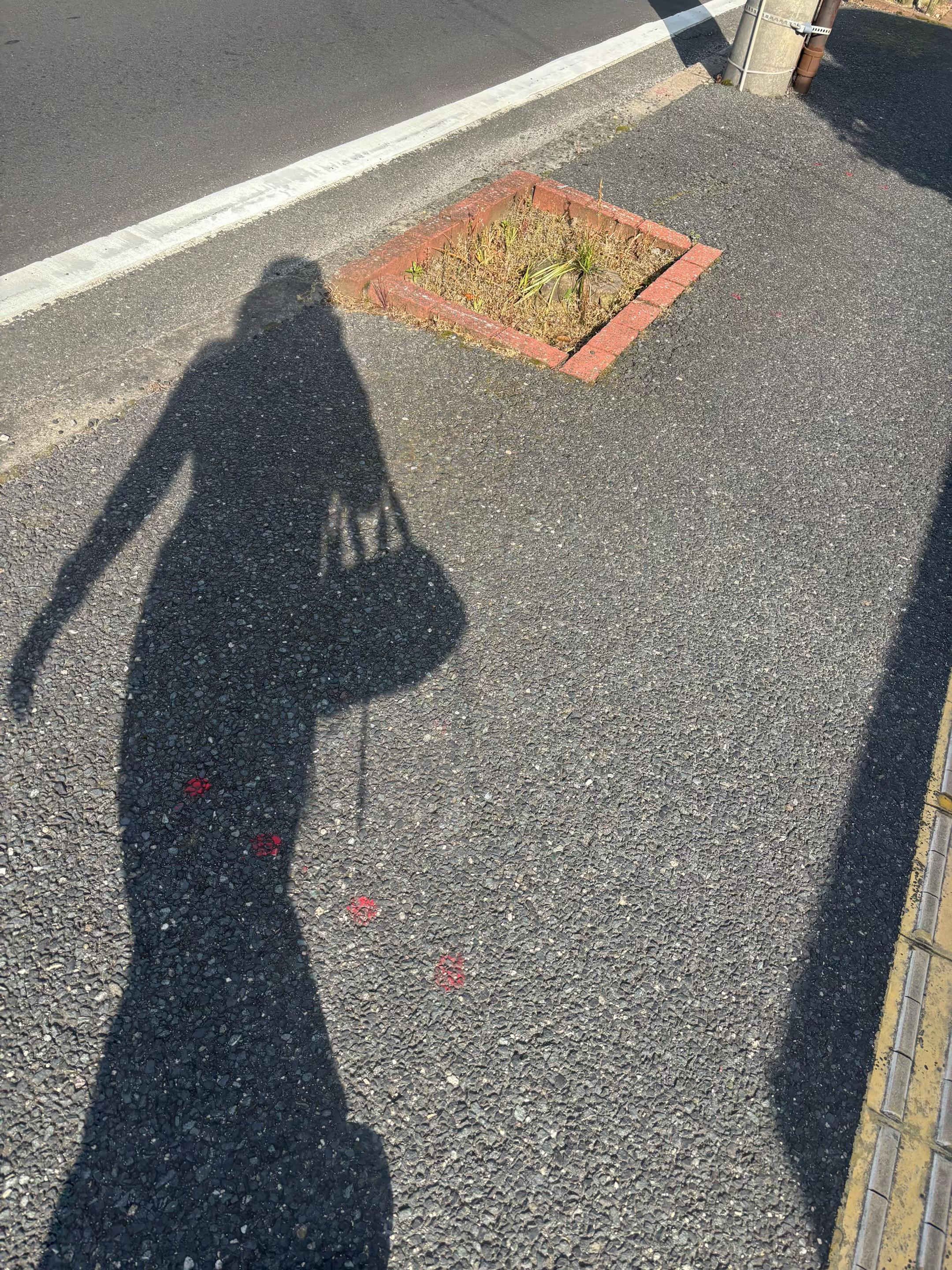 @愛奏 / 𝐀𝐈𝐍𝐀