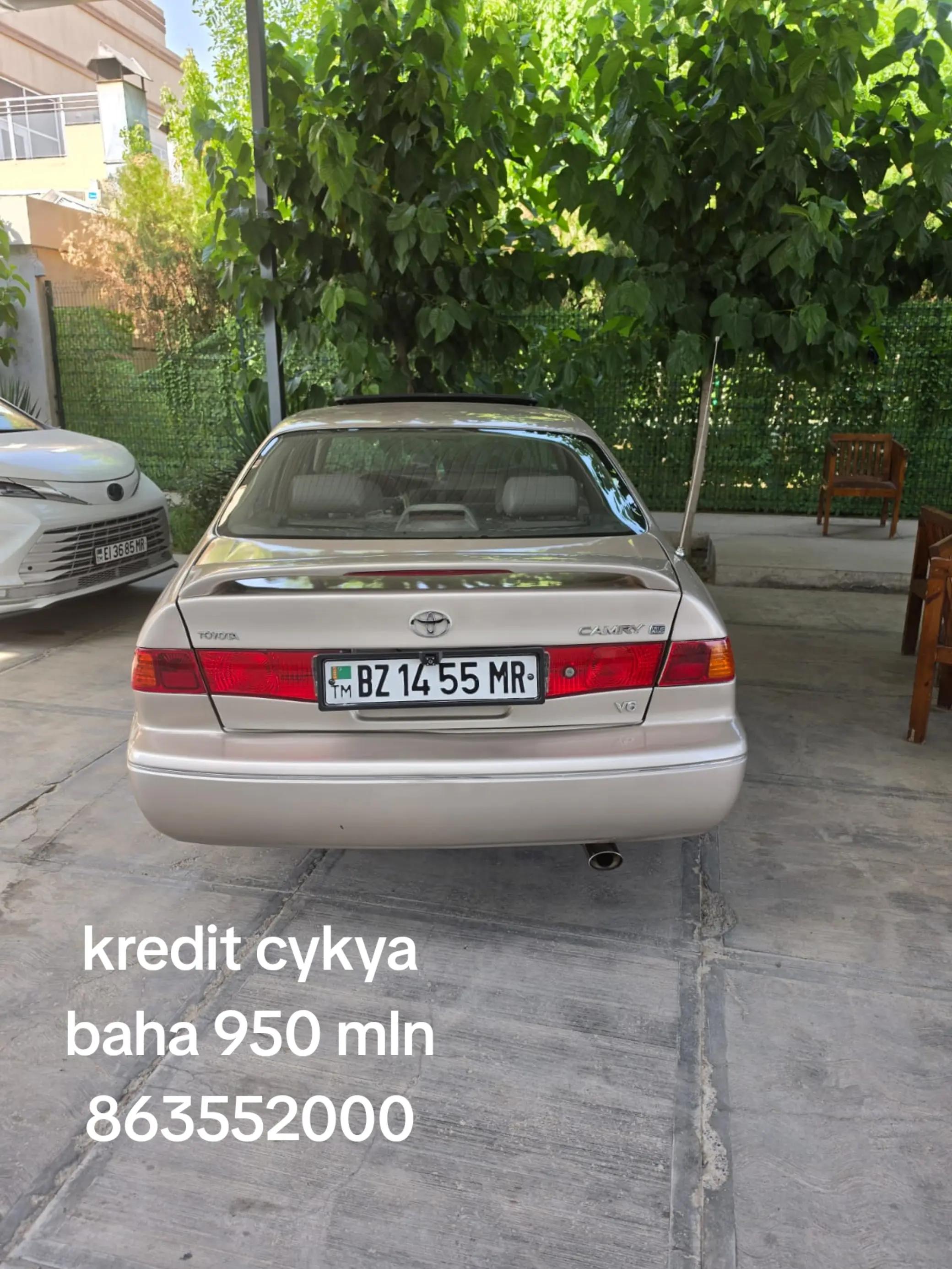 @Shapak Auto