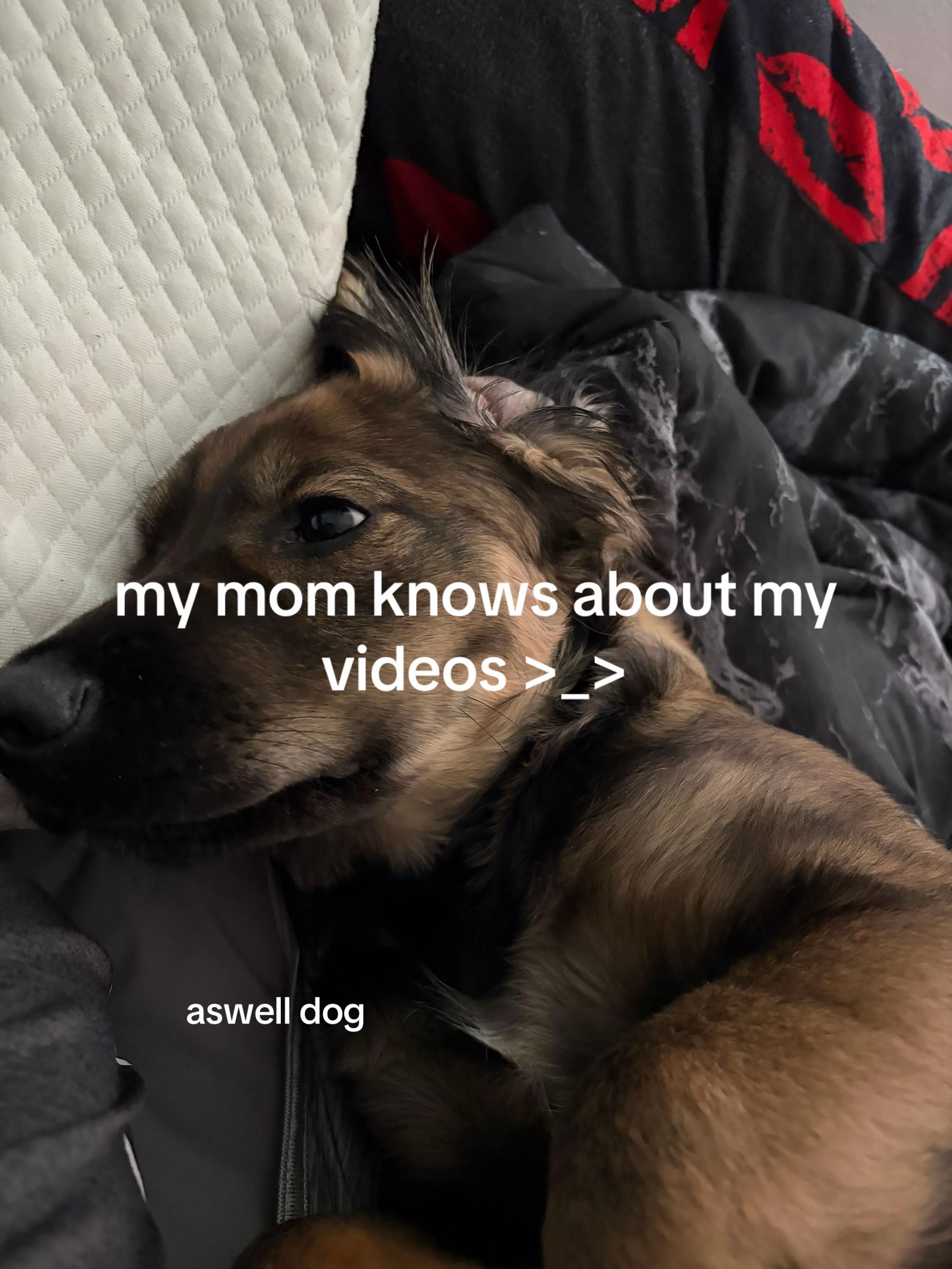 @glitch