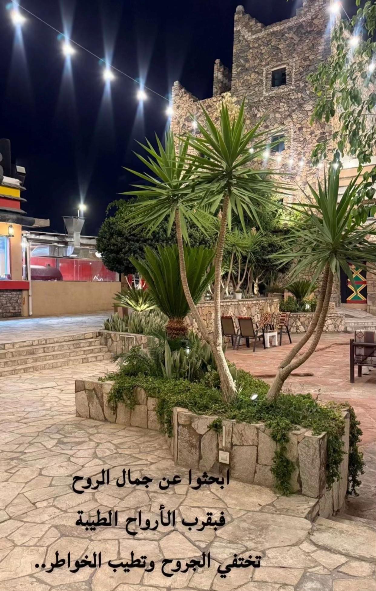 @سارة القرشي