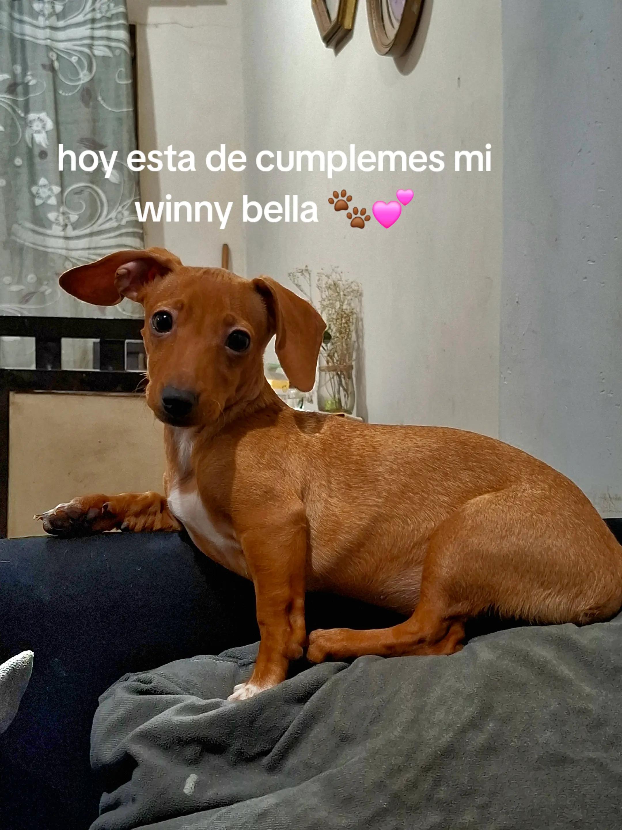 @Lupita🩷✨️