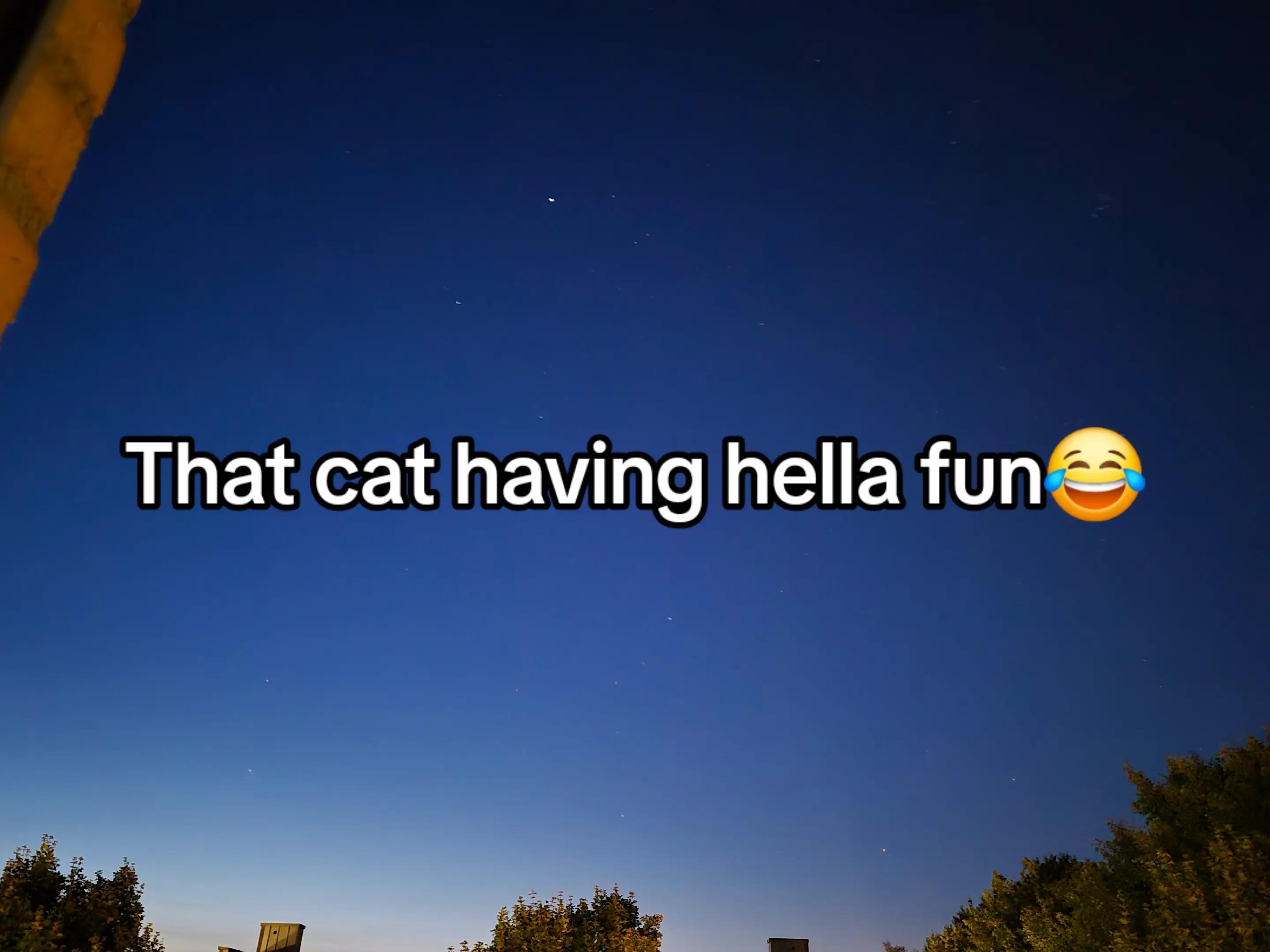 @๐ฃ๐ค๐ญ