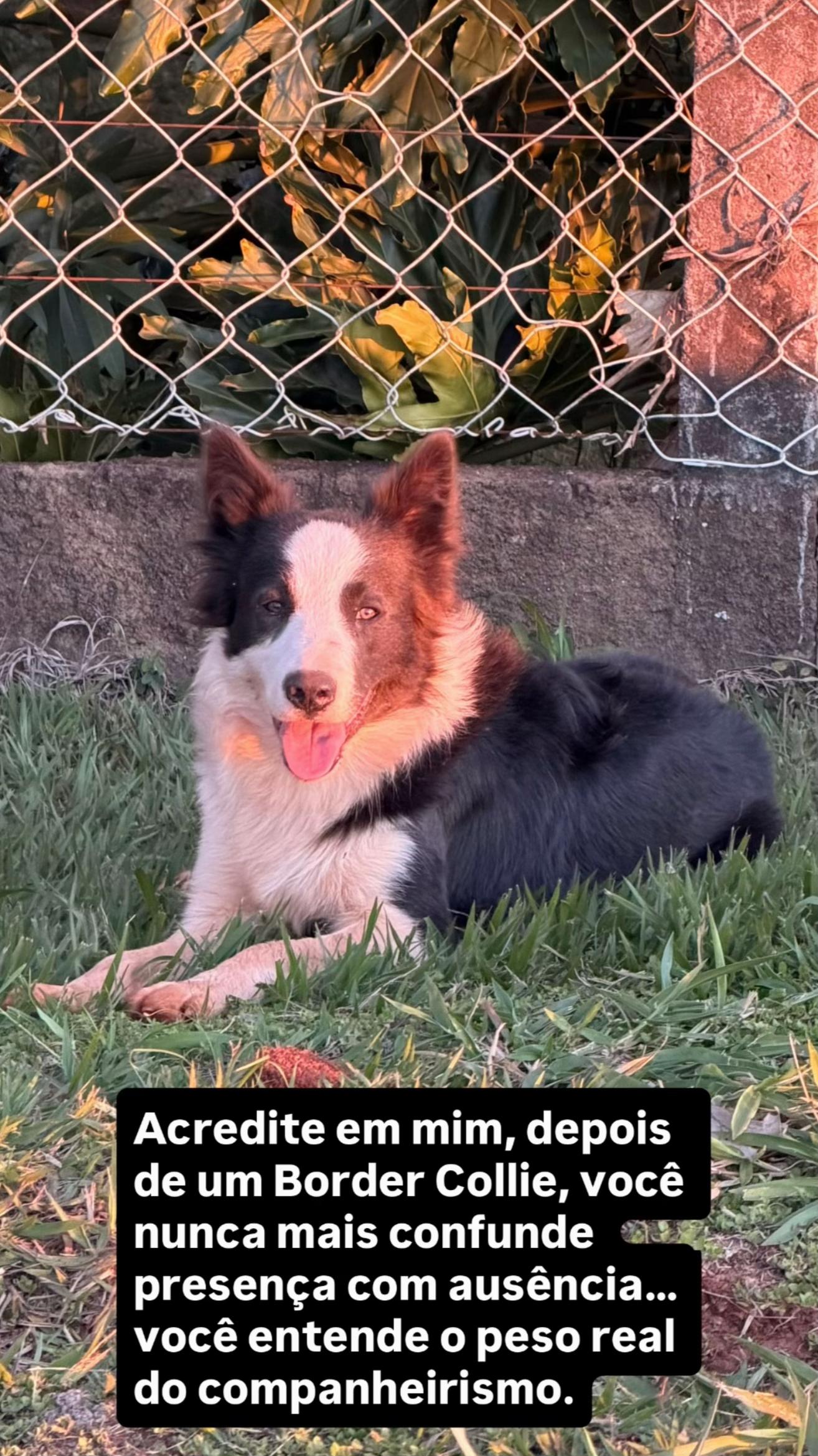 @André Martins
