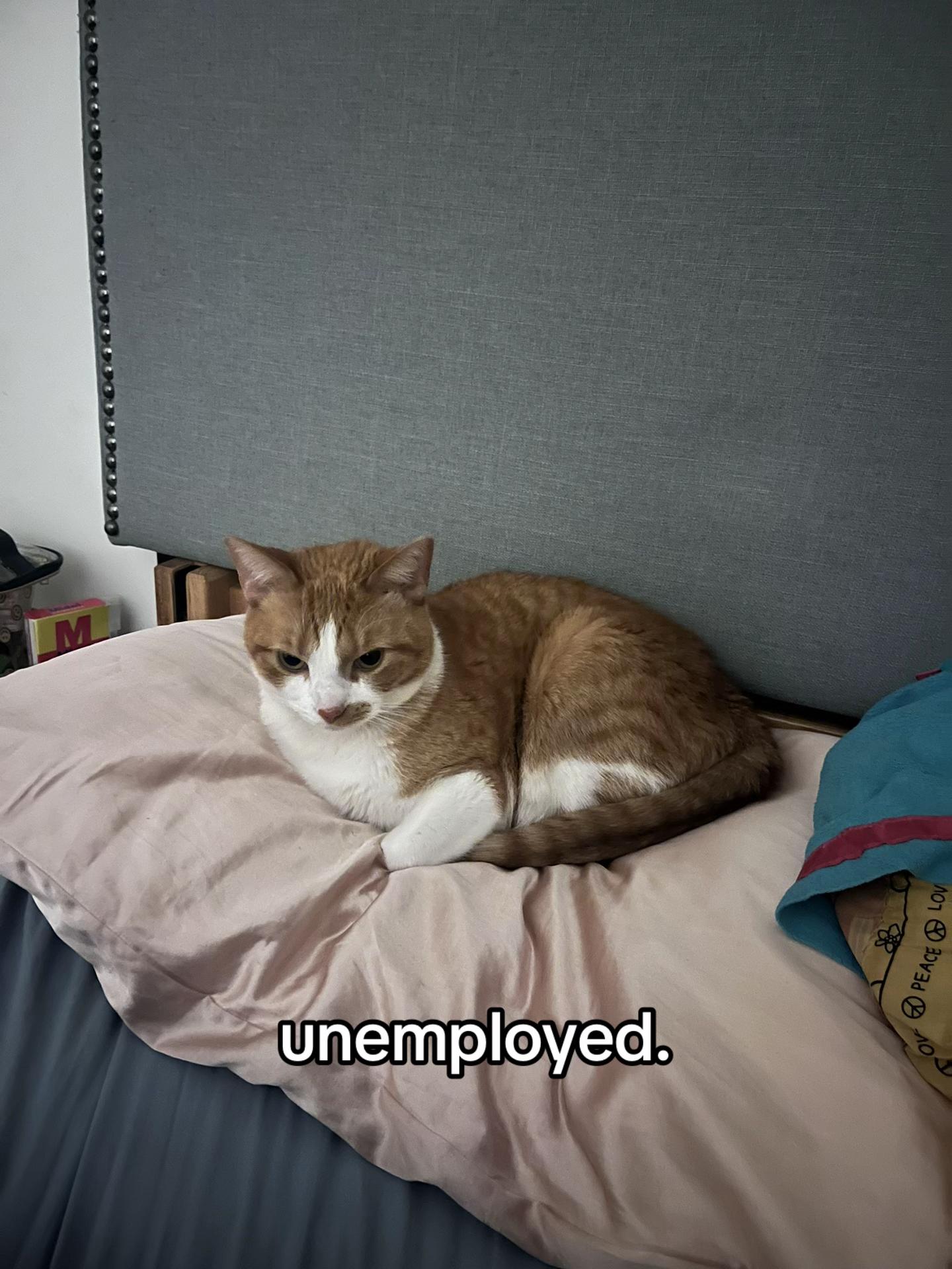 @emma and nemo