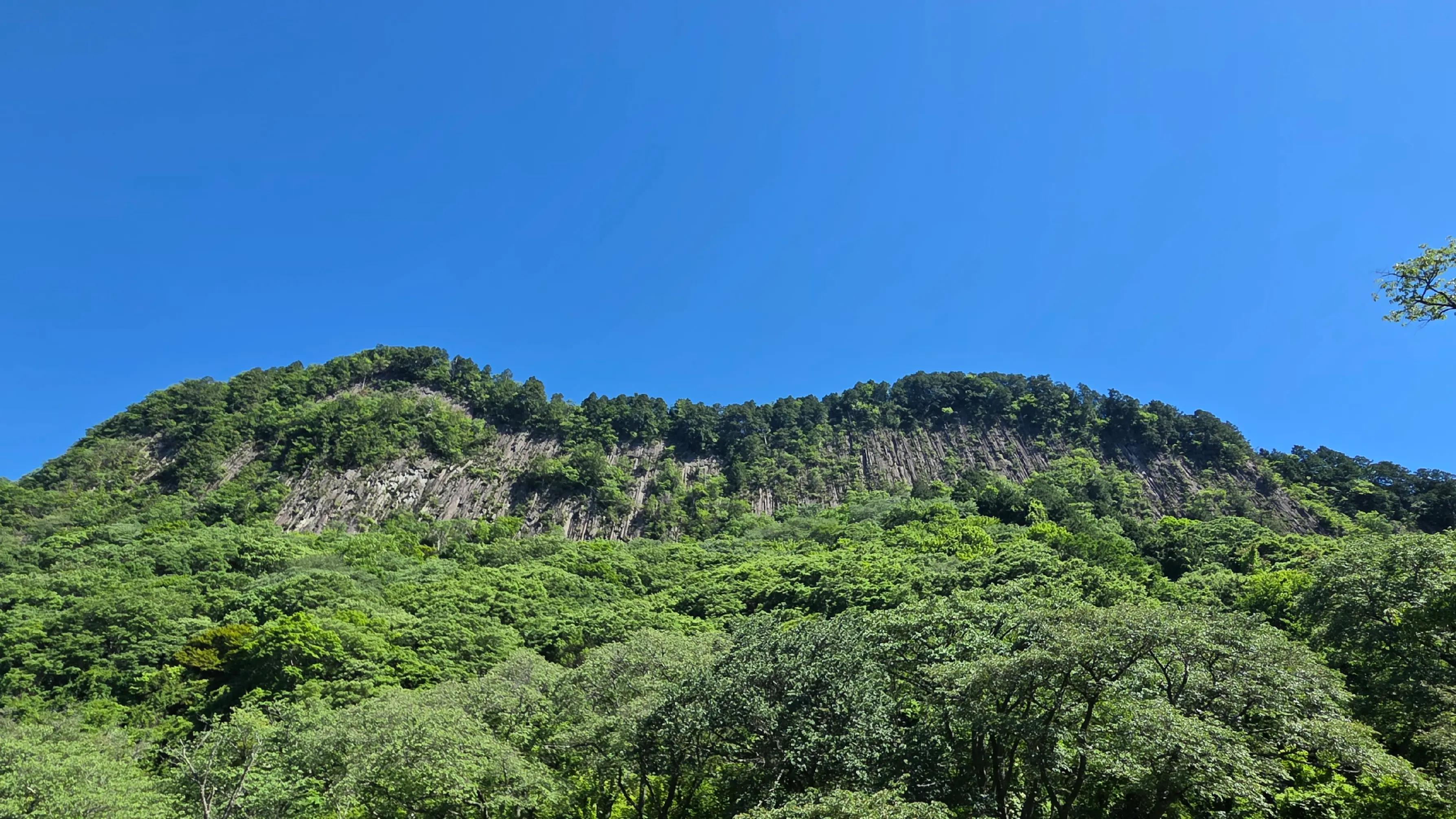 @ステラおじさん 🐻⛰️🐻