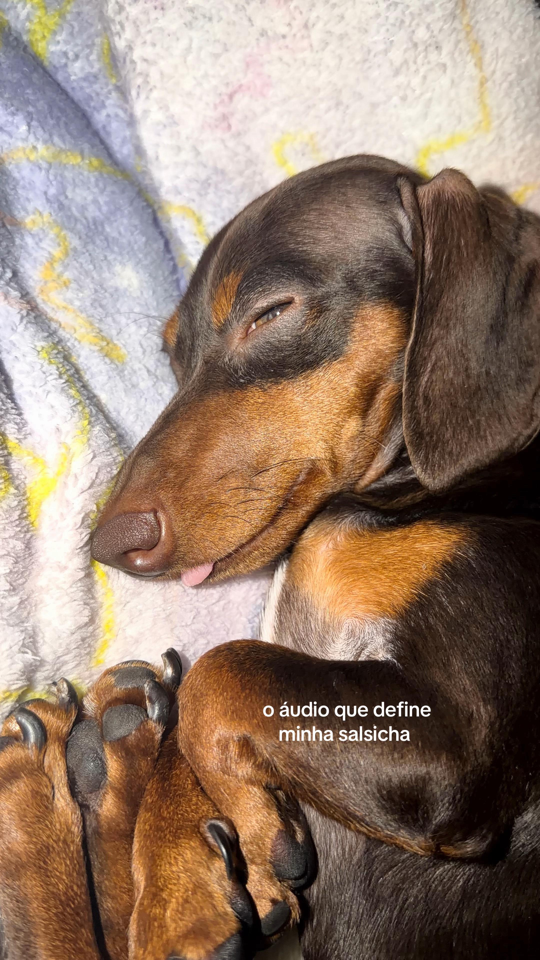 @Lele