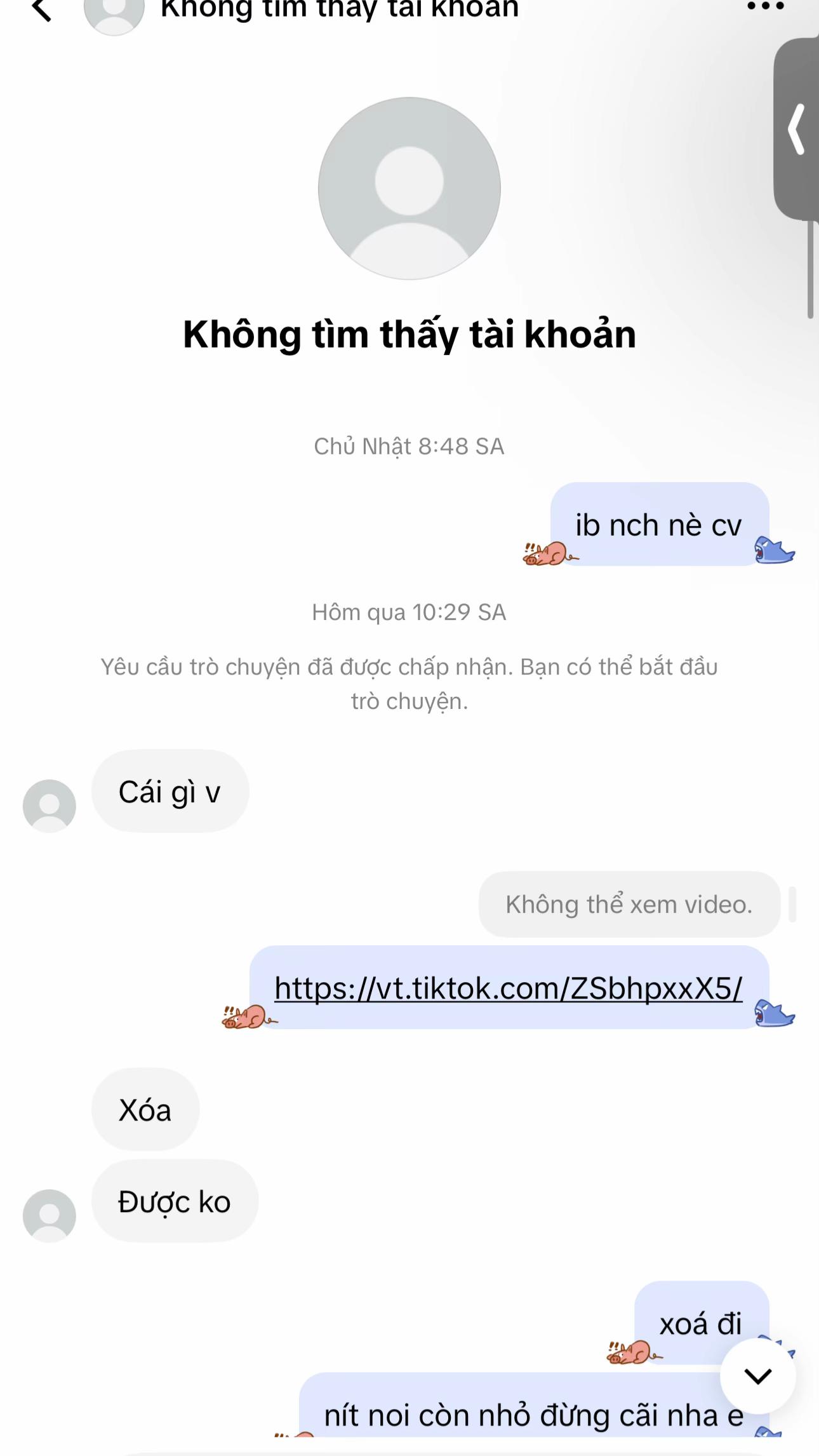 @Anh Vy anulet