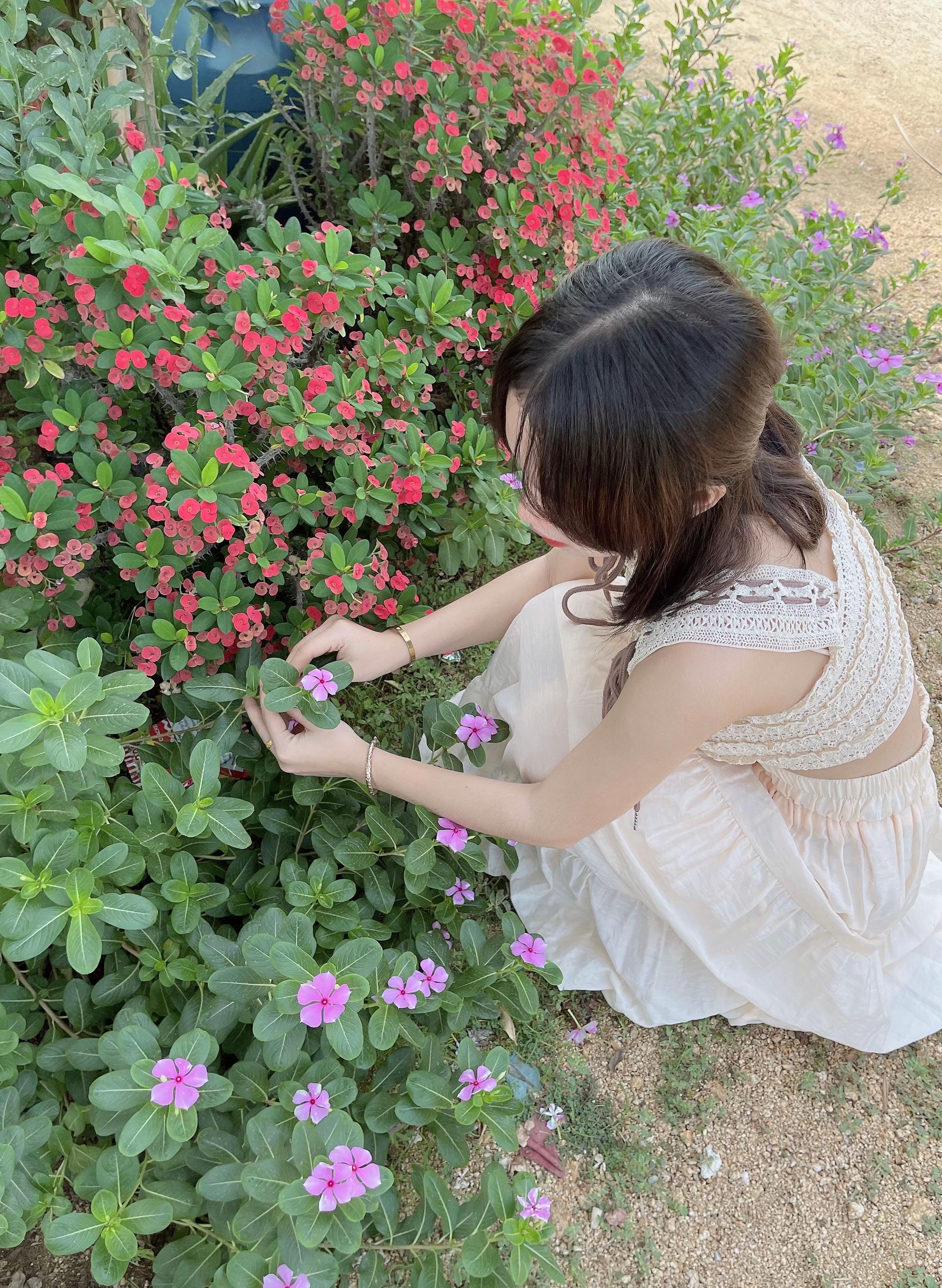 @๐ฏ๐JASSMEฤซ ๐โ°๏ฝกโ