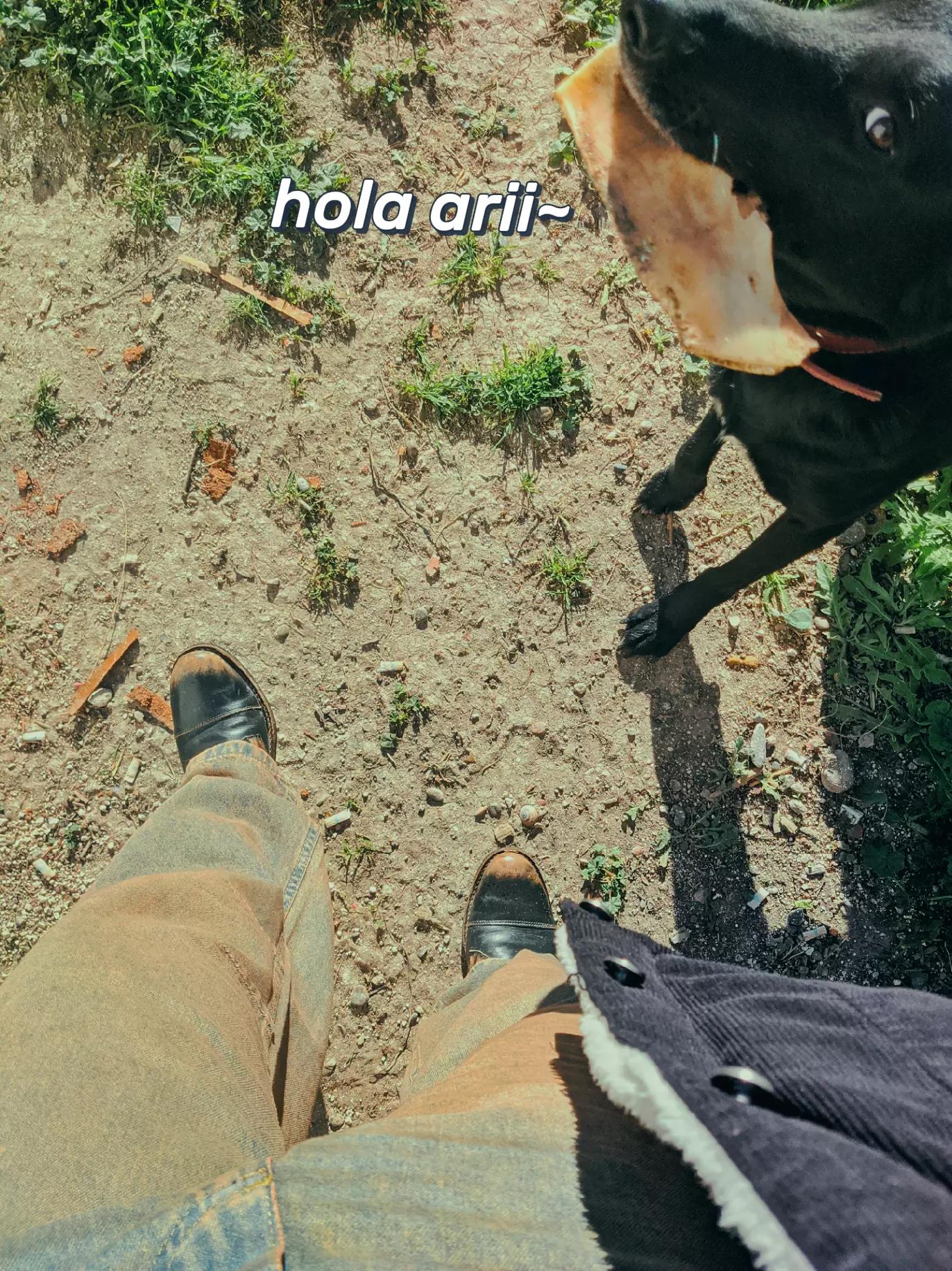 @ᶜʳᵘᶻᶻ