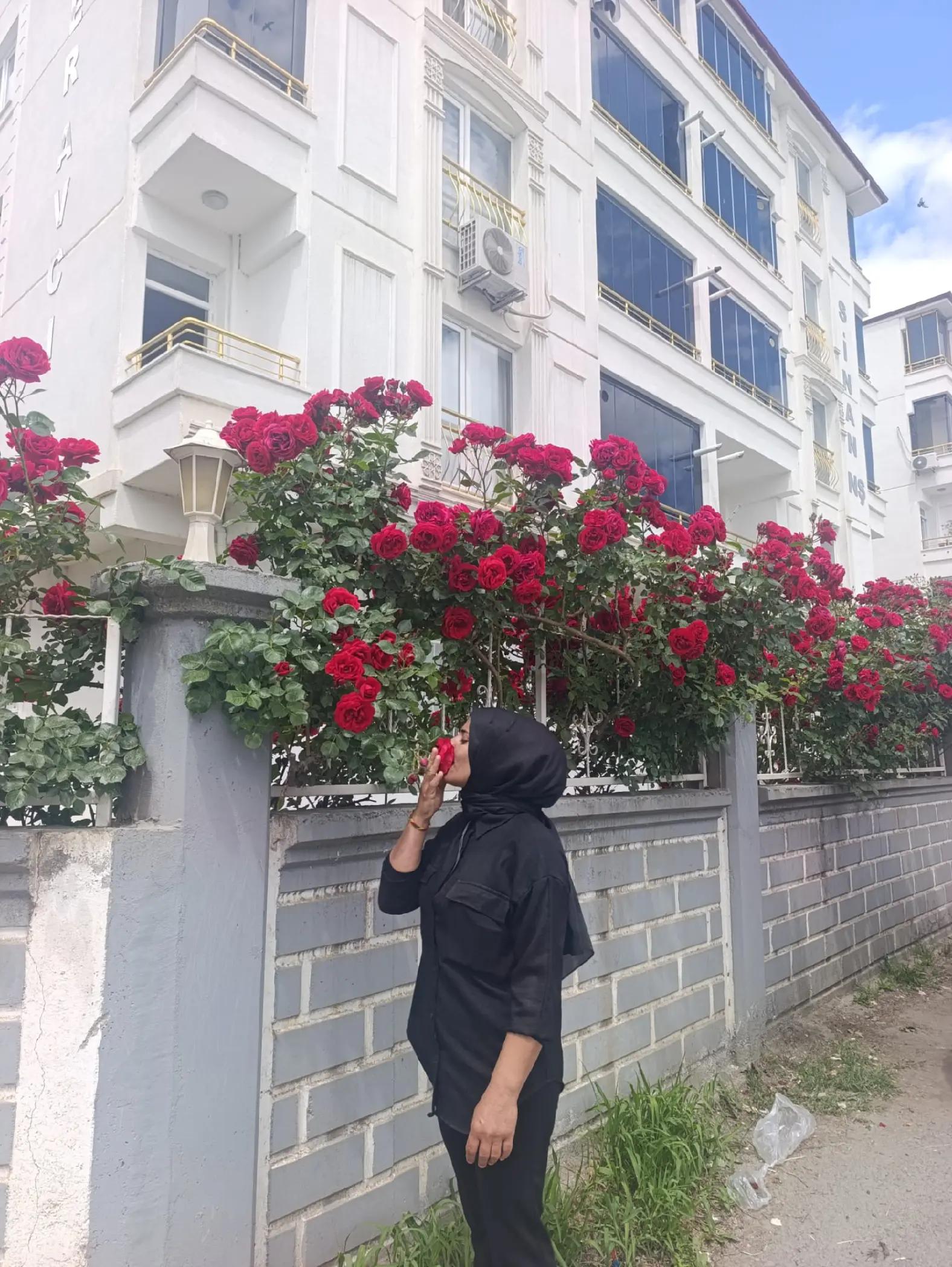 @ayhan_bedirhan76