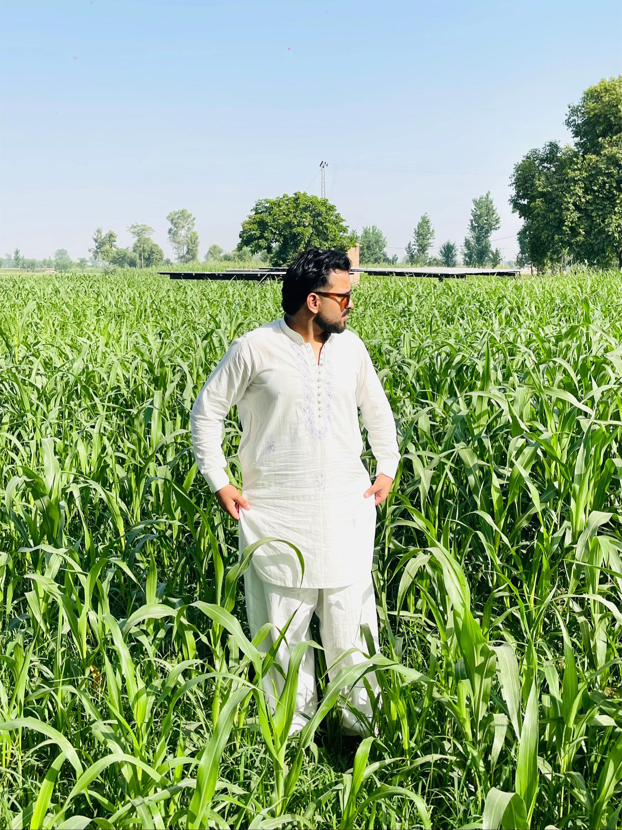 @talha baloch