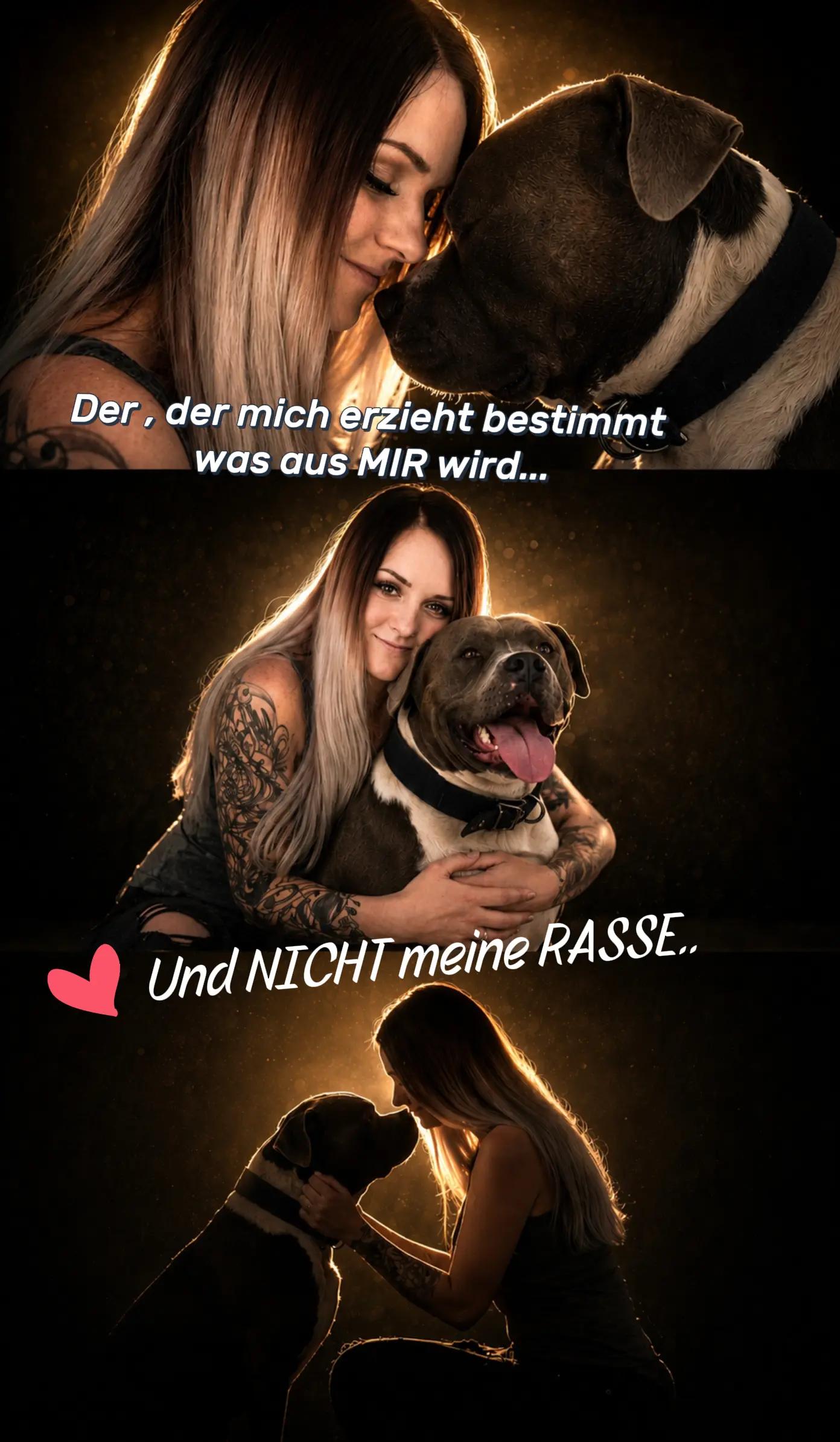 @Kampfschmusser_Nero🖤