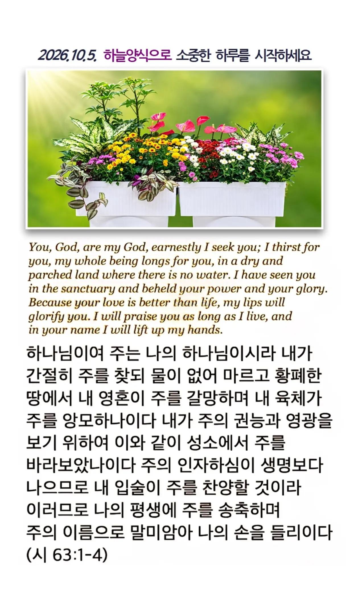 @피켓전도 김종일 목사
