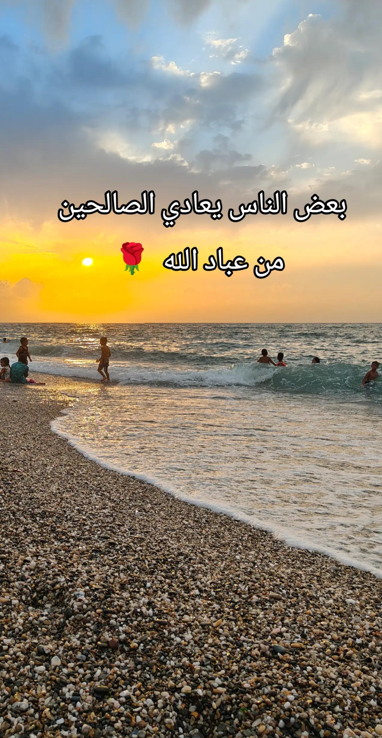 @🌹 خَلَفْ لِخَيْرِ سلَفْ 🌸📚