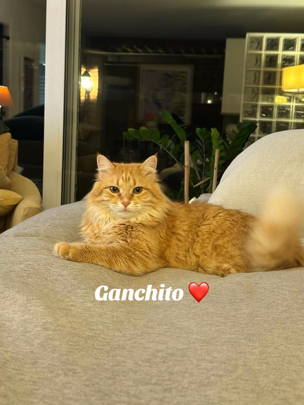 @Ganchito y su tropa