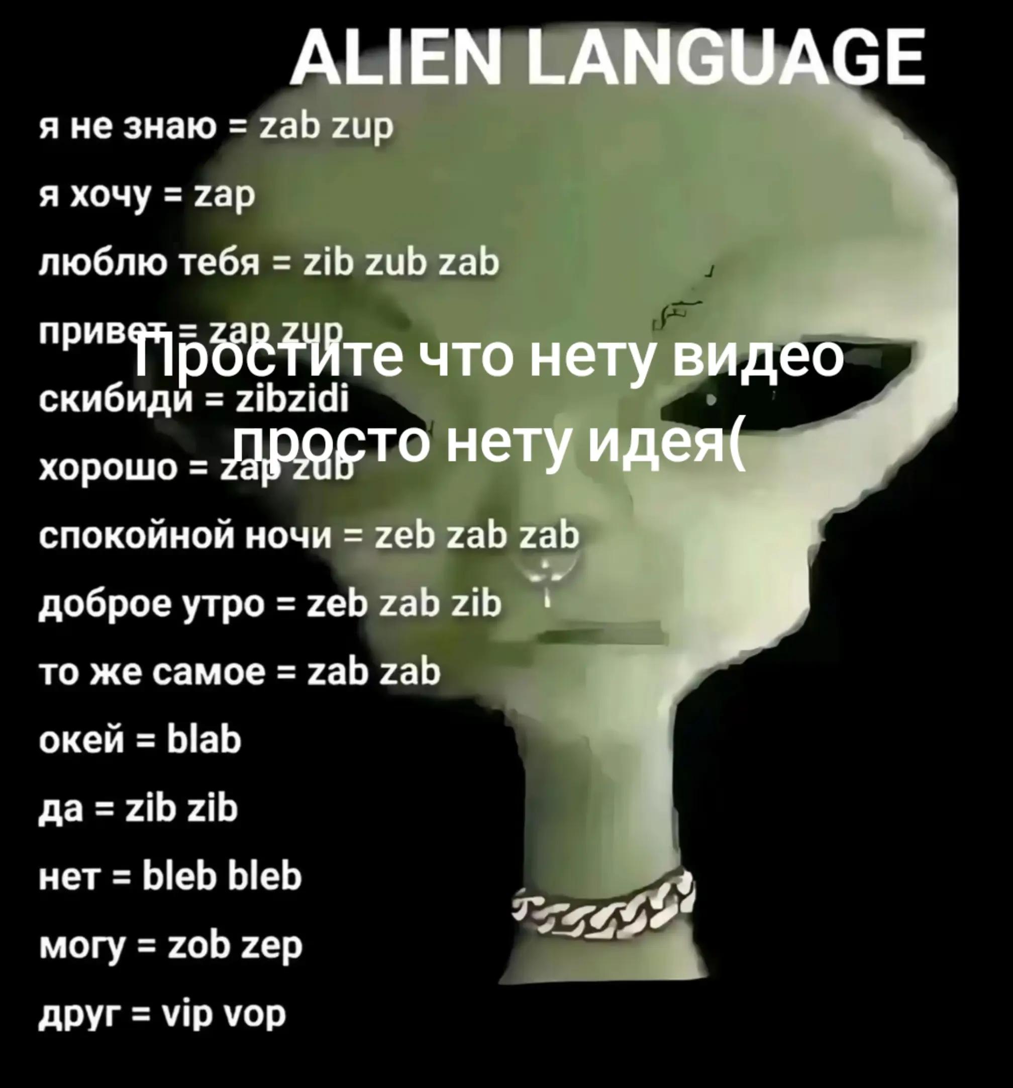 @┊𓏲 𝓦𝓮𝓪𝓼𝓵𝓮𝔂 𝓒⃒𓏲┊