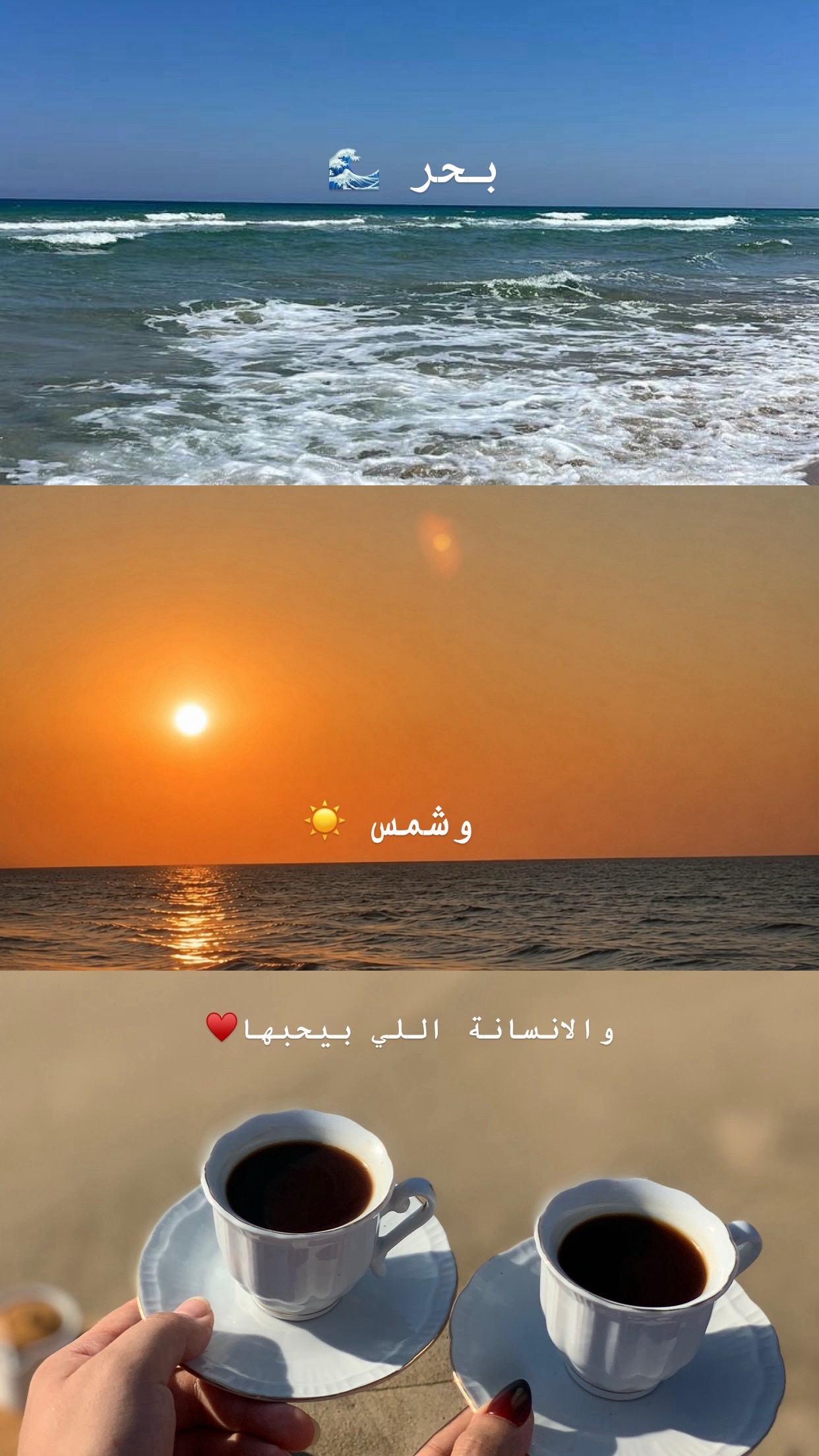 @Safa Al Tubal