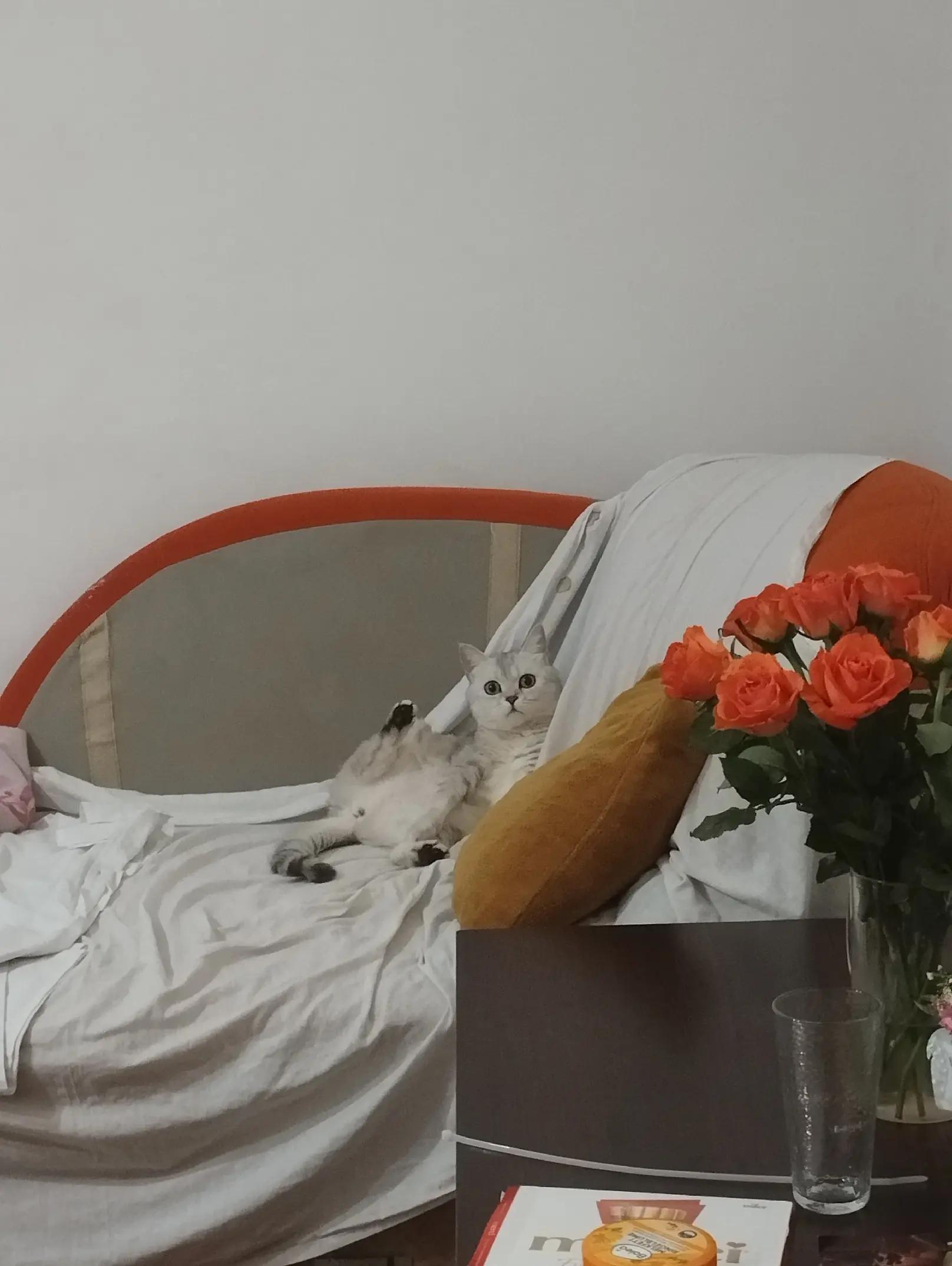 @вишели
